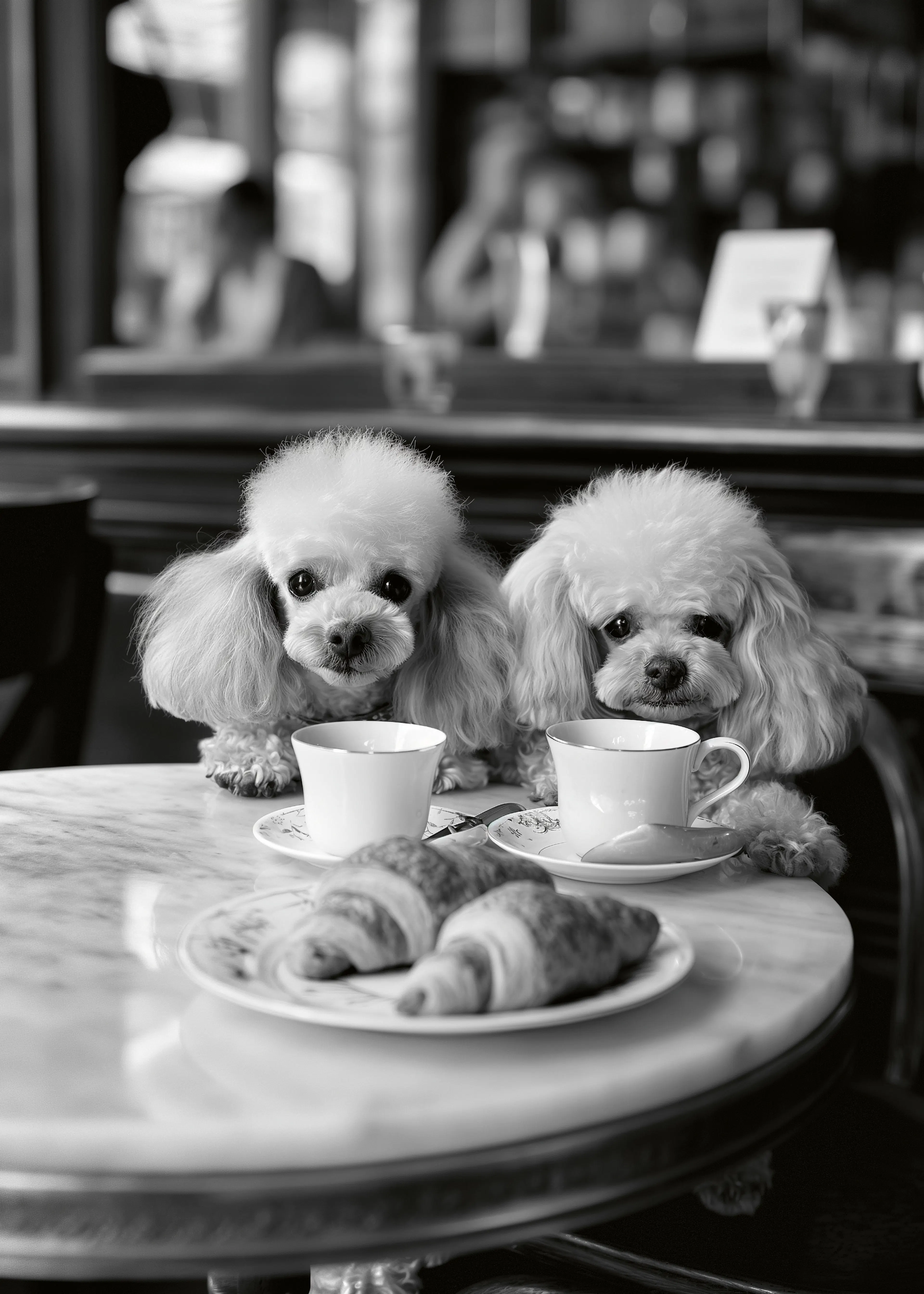 Cozy Cafe Pups Poster 0