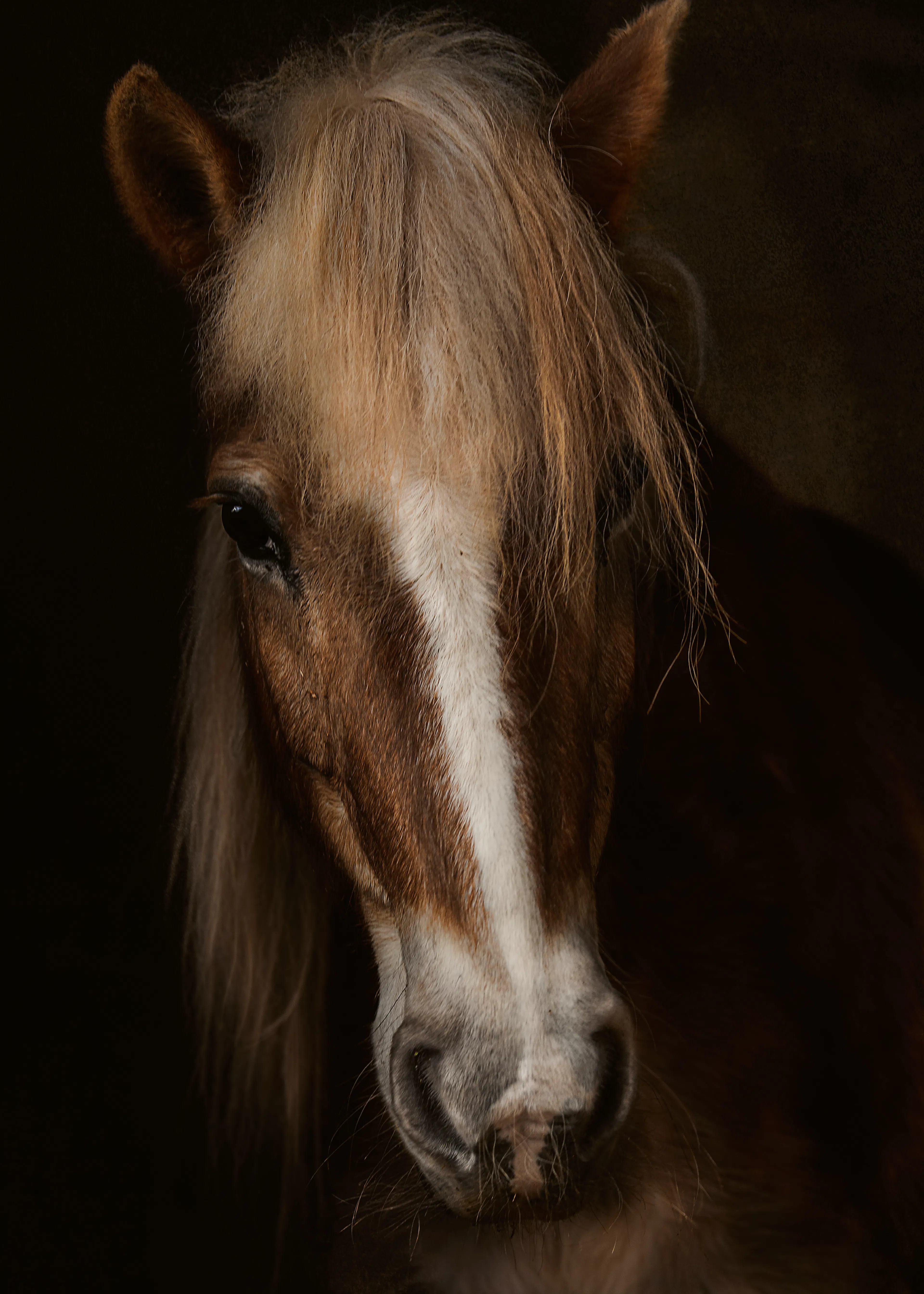 Mystic Horse Poster 0