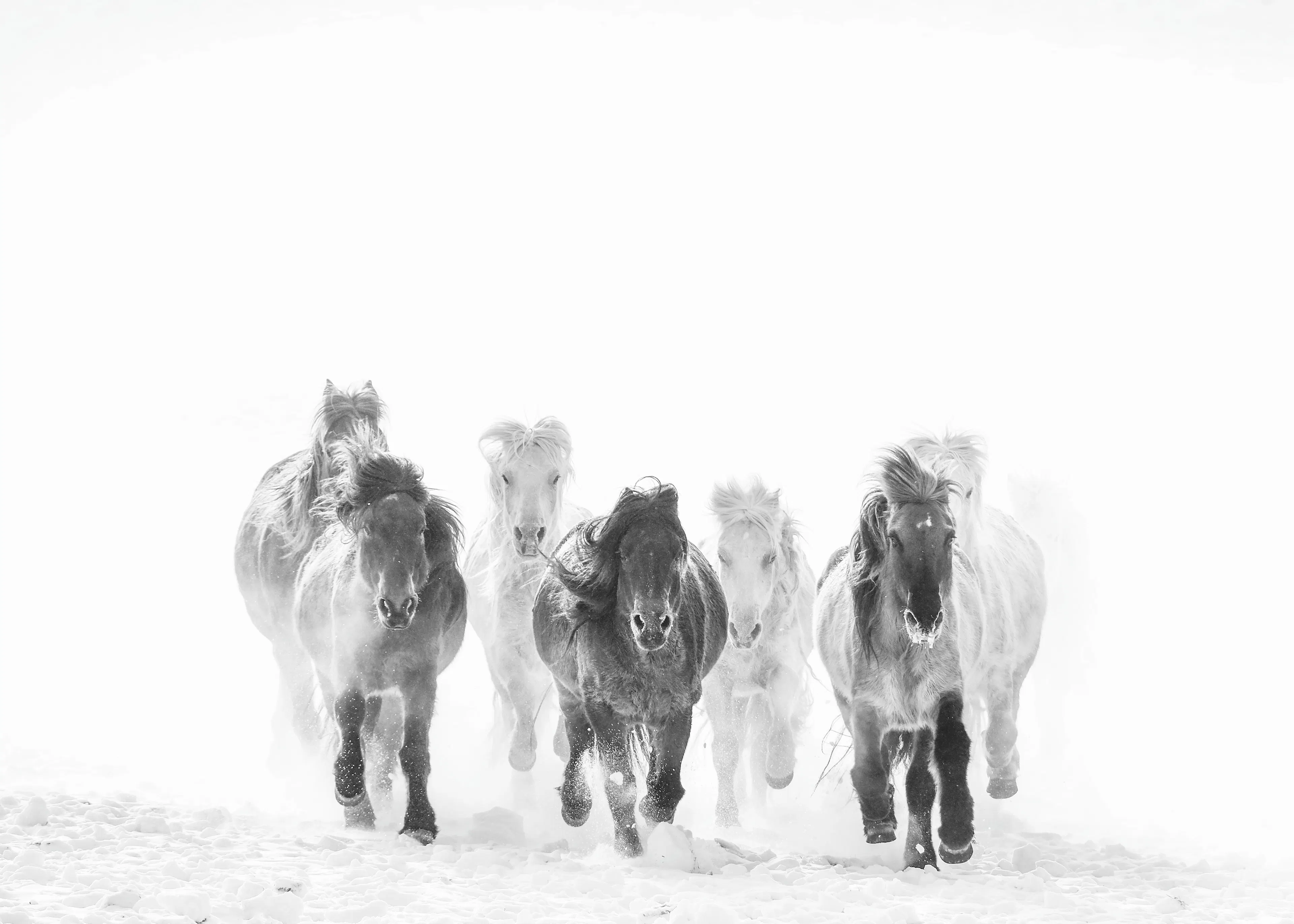 Ghost Horses Poster 0
