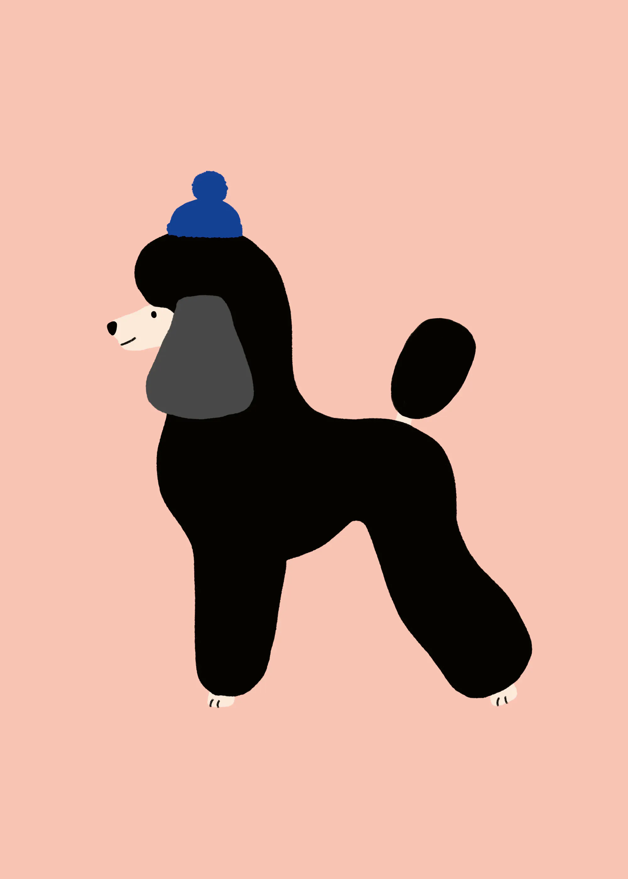 Winter Poodle Poster 0