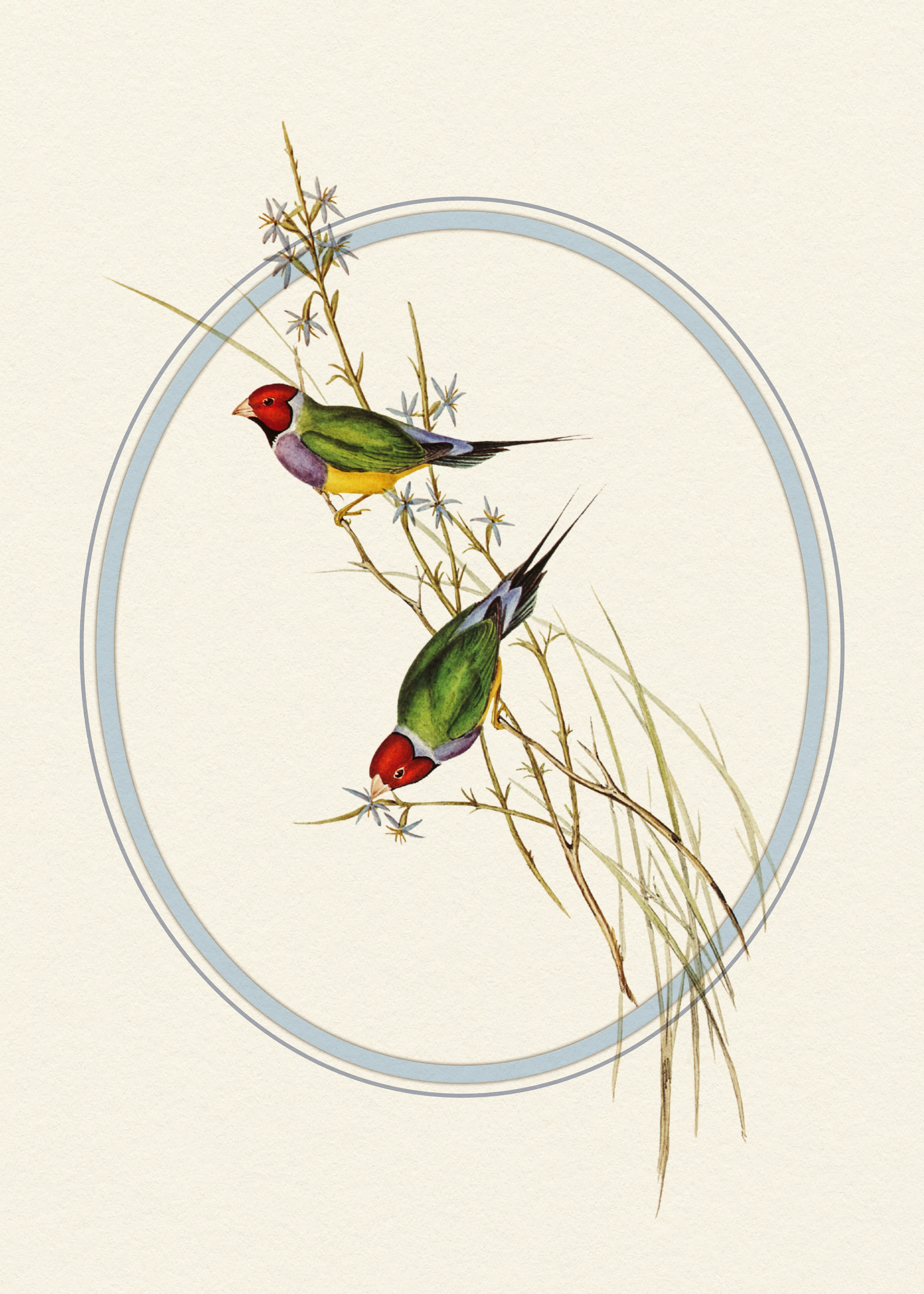 Hummingbird Harmony Poster 0
