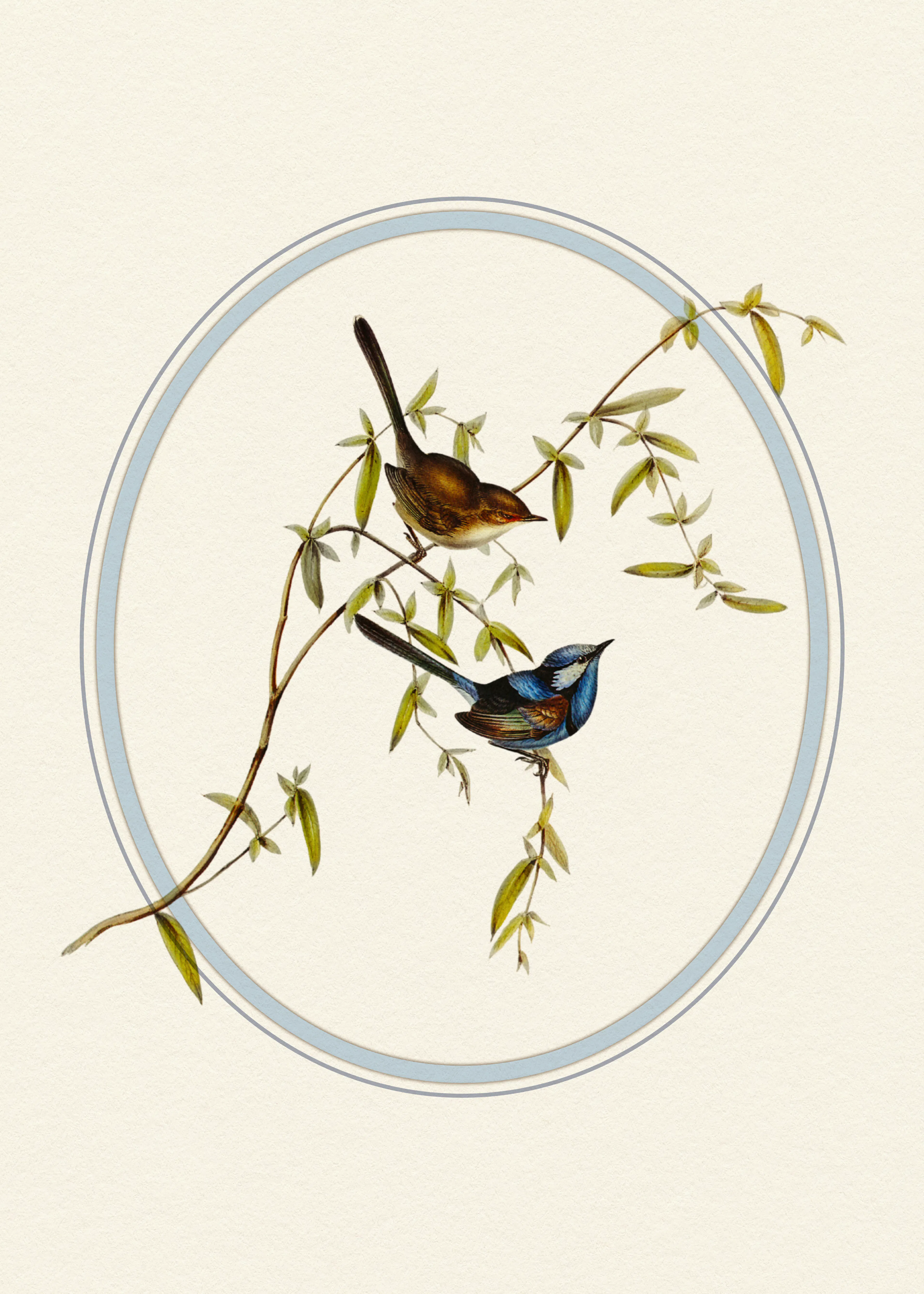 Serene Birds Poster 0