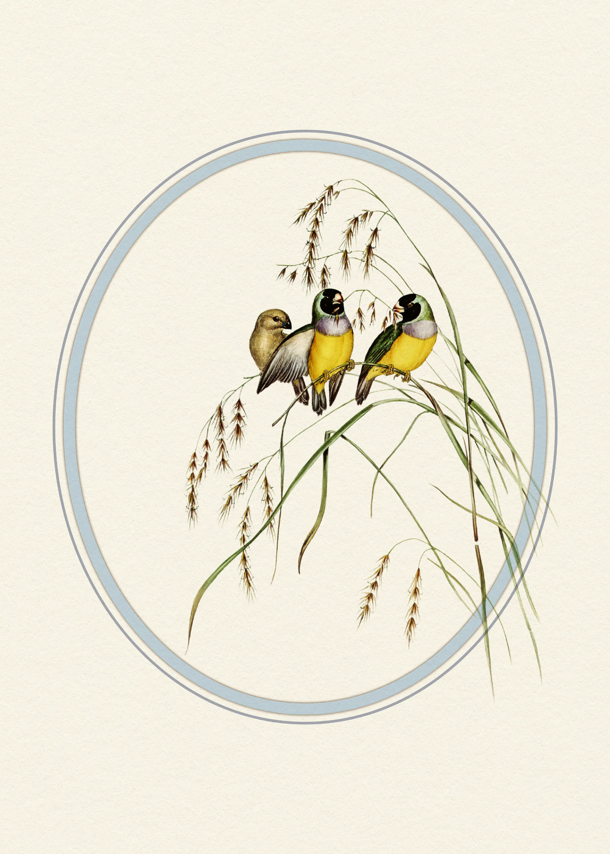 Yellow Bird Harmony Poster 0