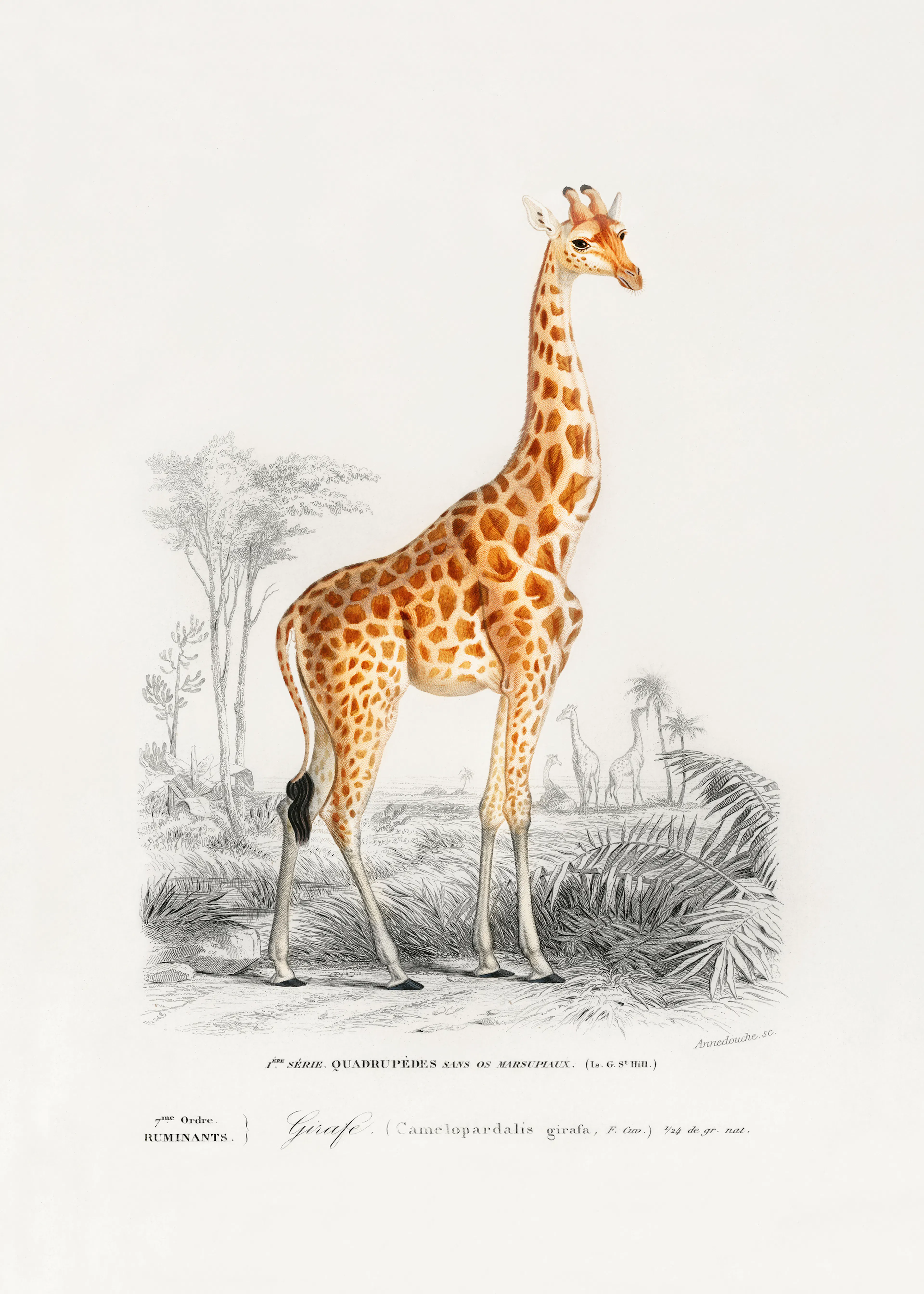 Orange Elegant Giraffe Poster 0