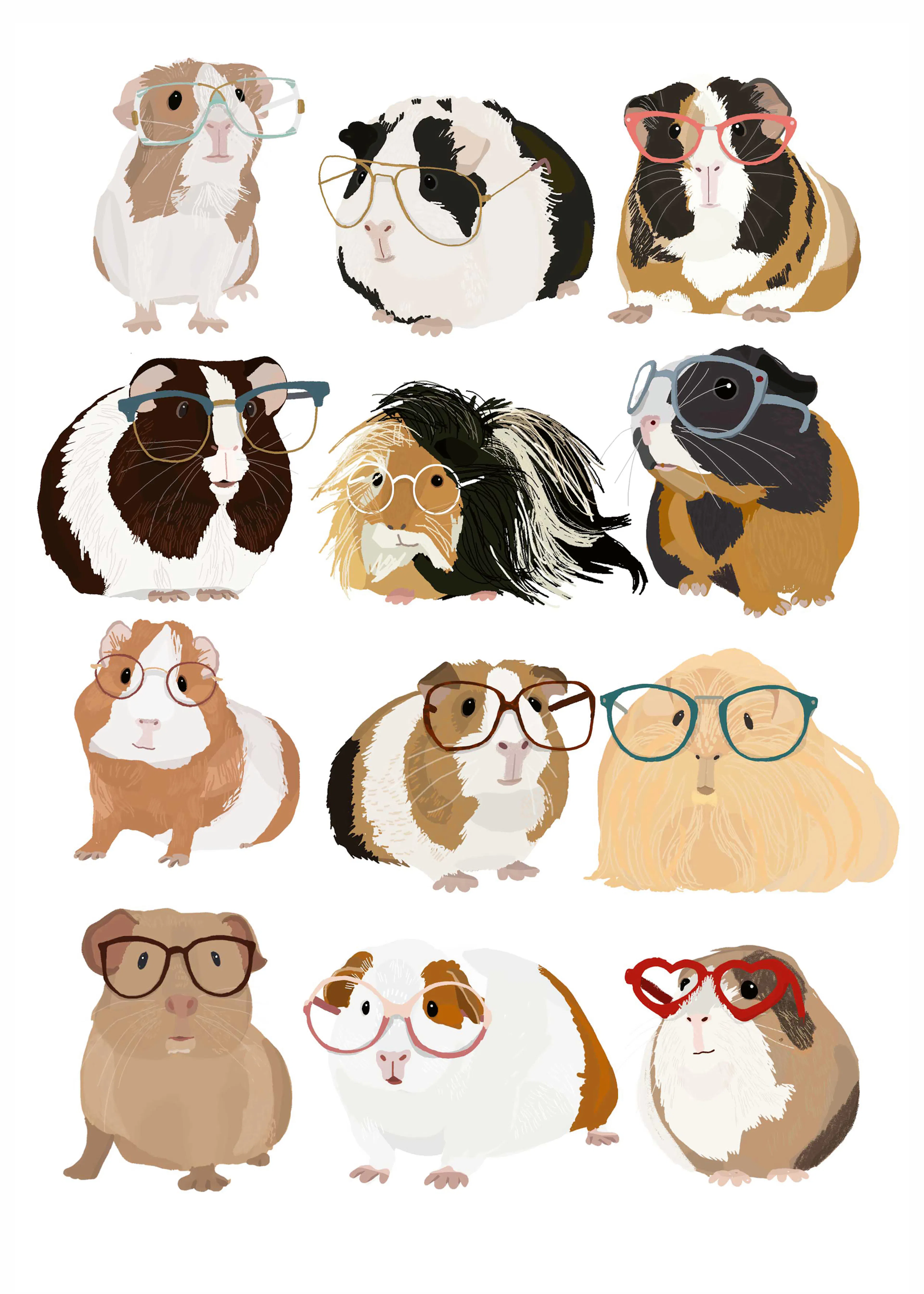Guinea Pig Portraits Poster 0