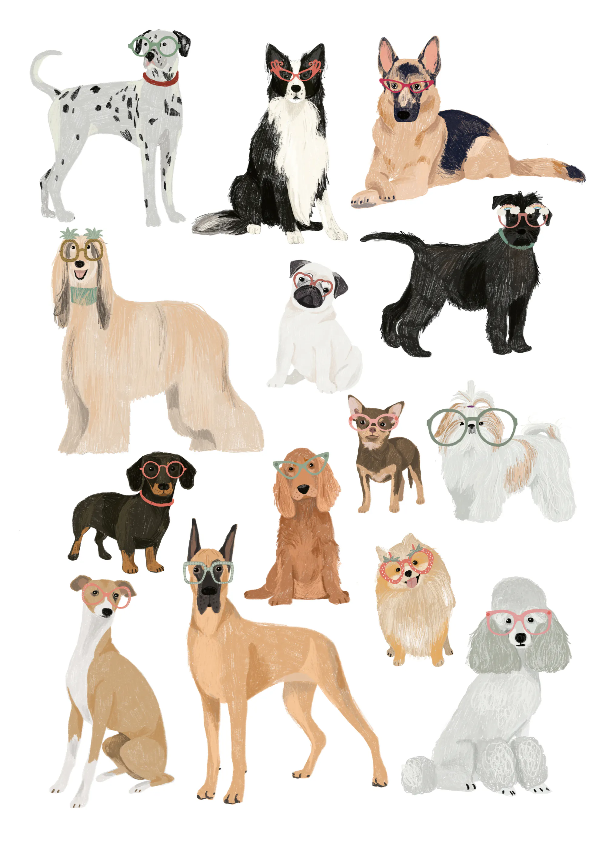 Razas de Perros Póster 0