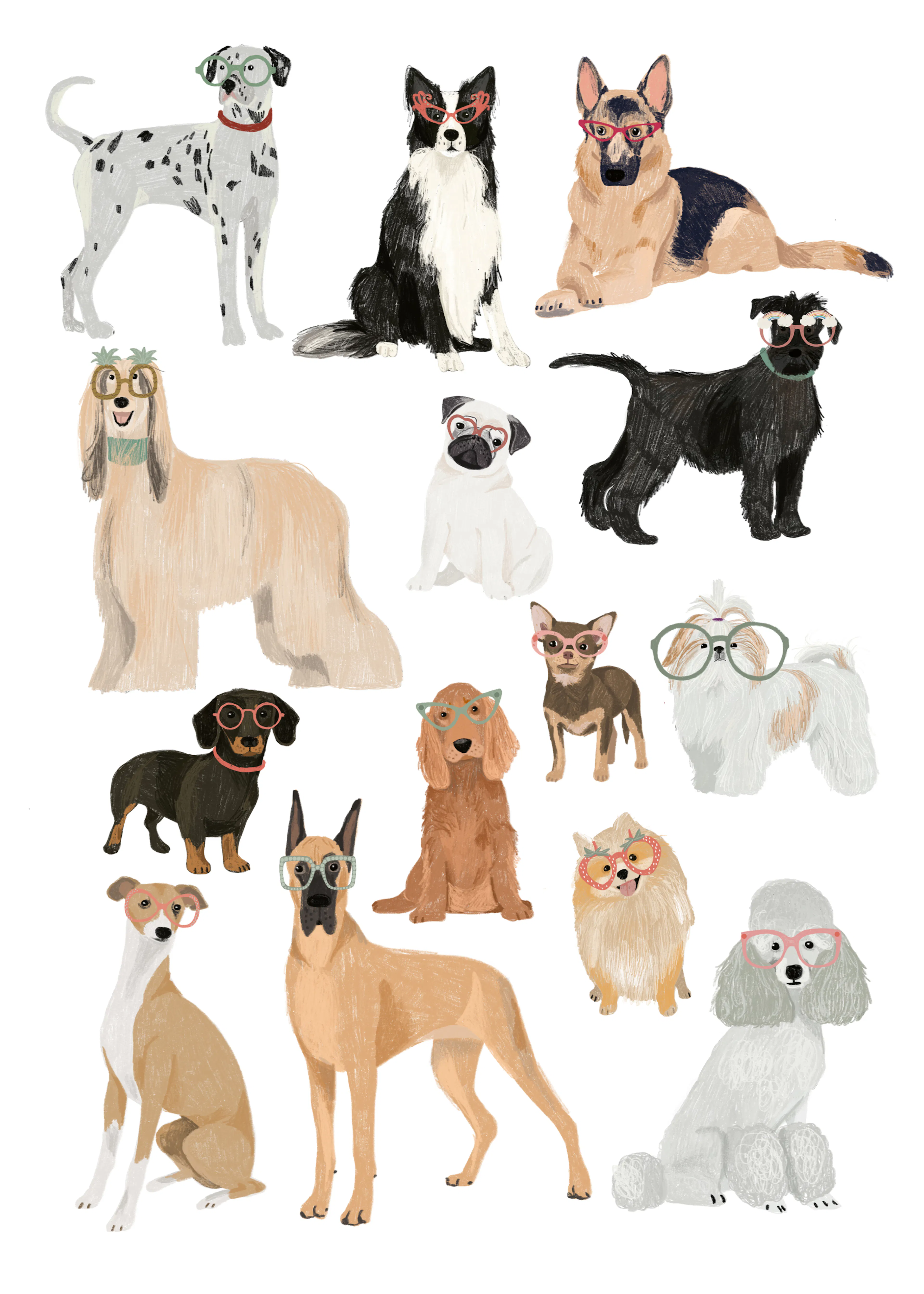 Dog Breeds Poster 0