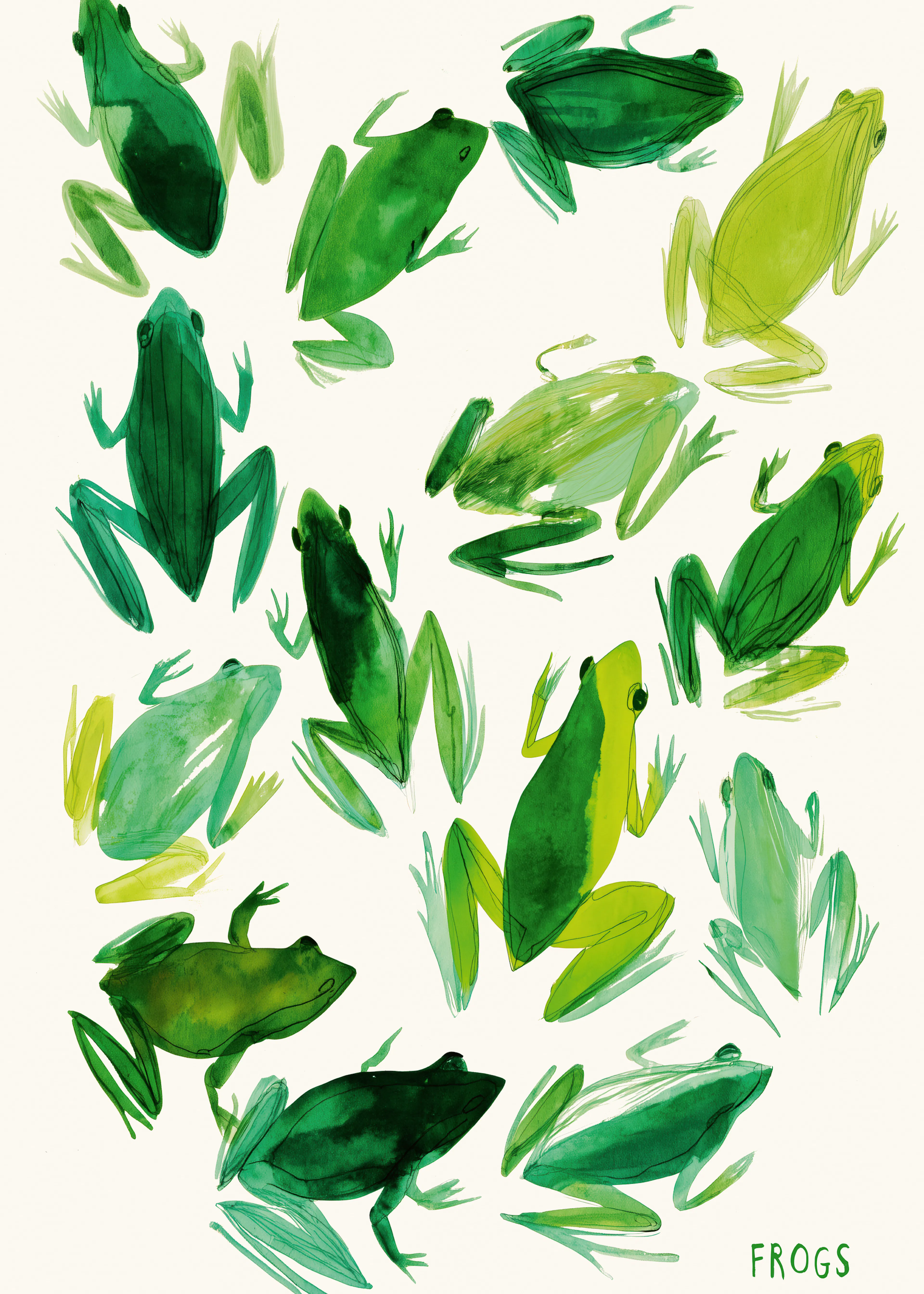 Green Frogs Foliage Poster 0