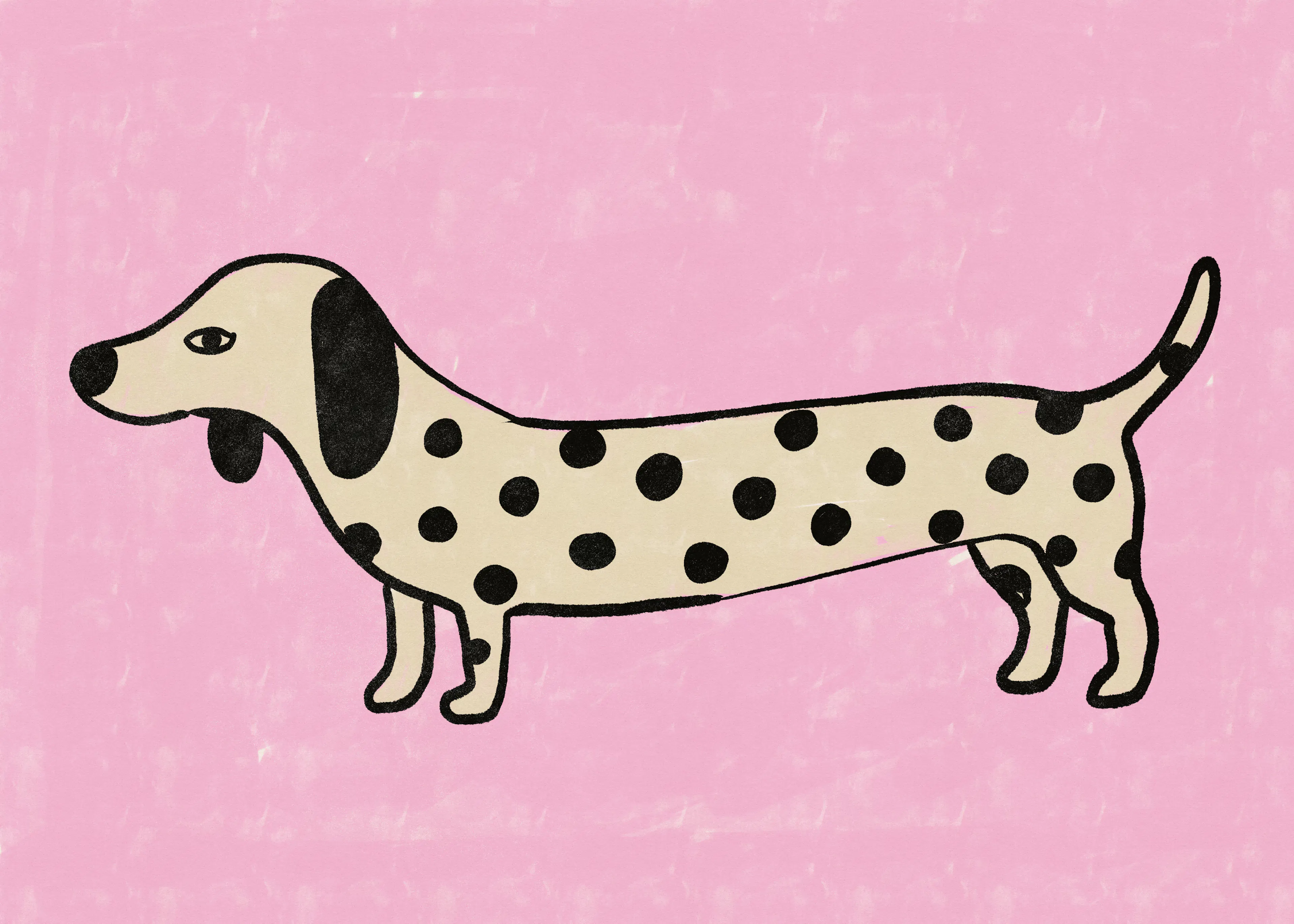 Spotted Dachshund Poster 0