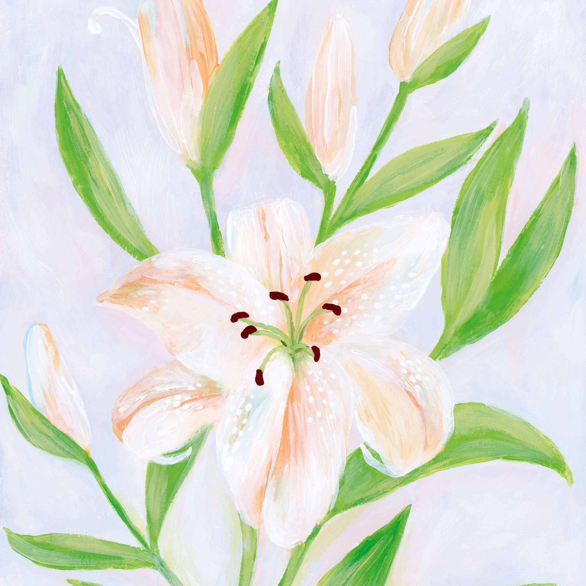 Blooming White Lilies ポスター | Poster Store JP
