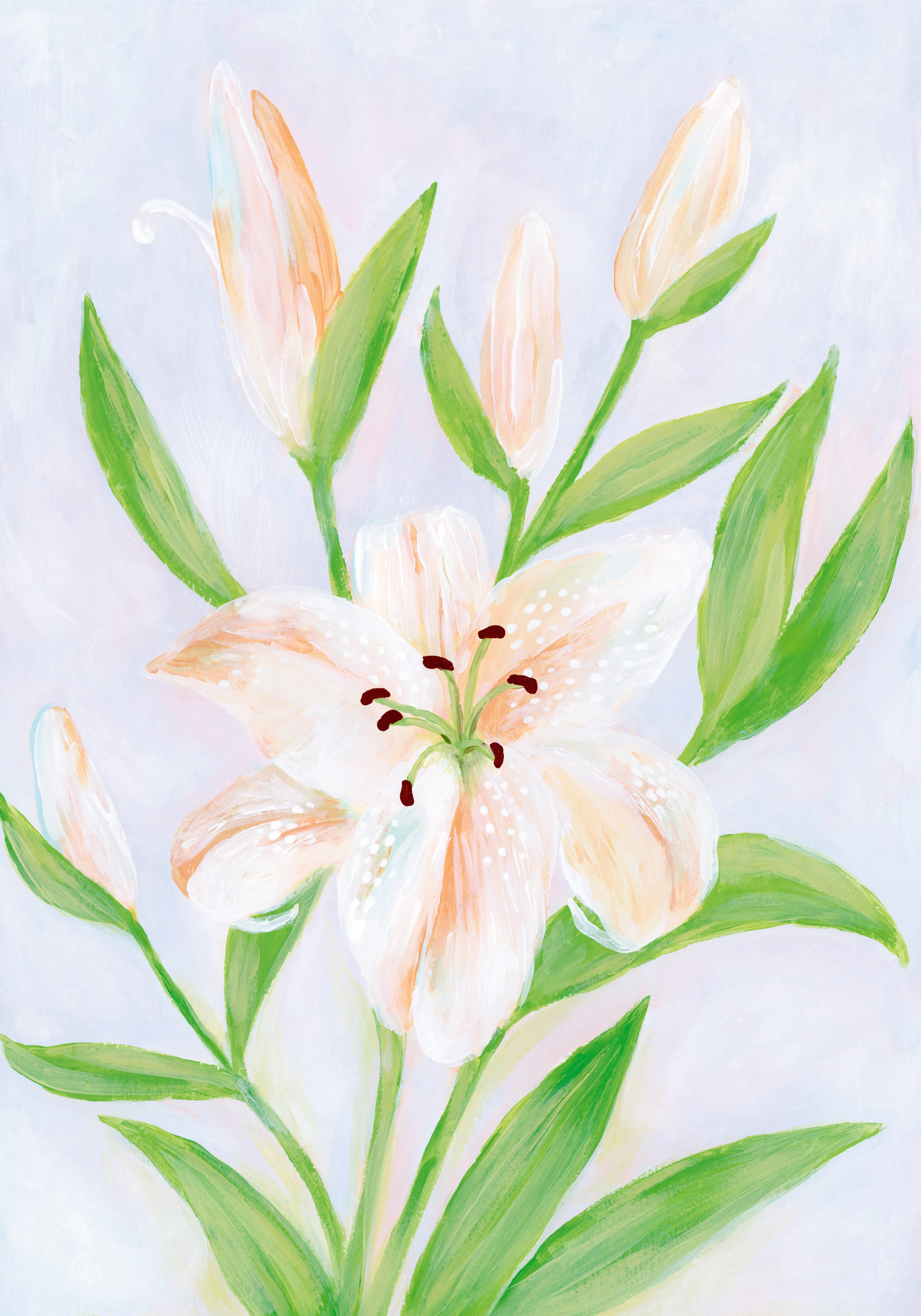 Product image: 1