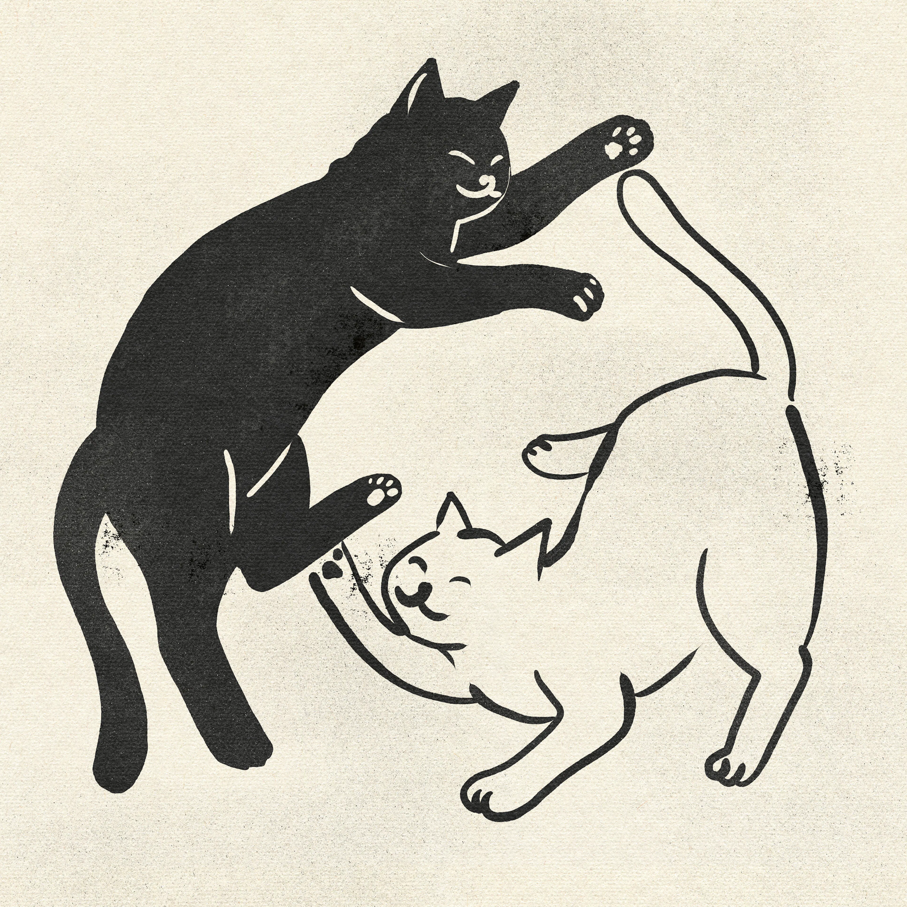 Kattdans Poster 0