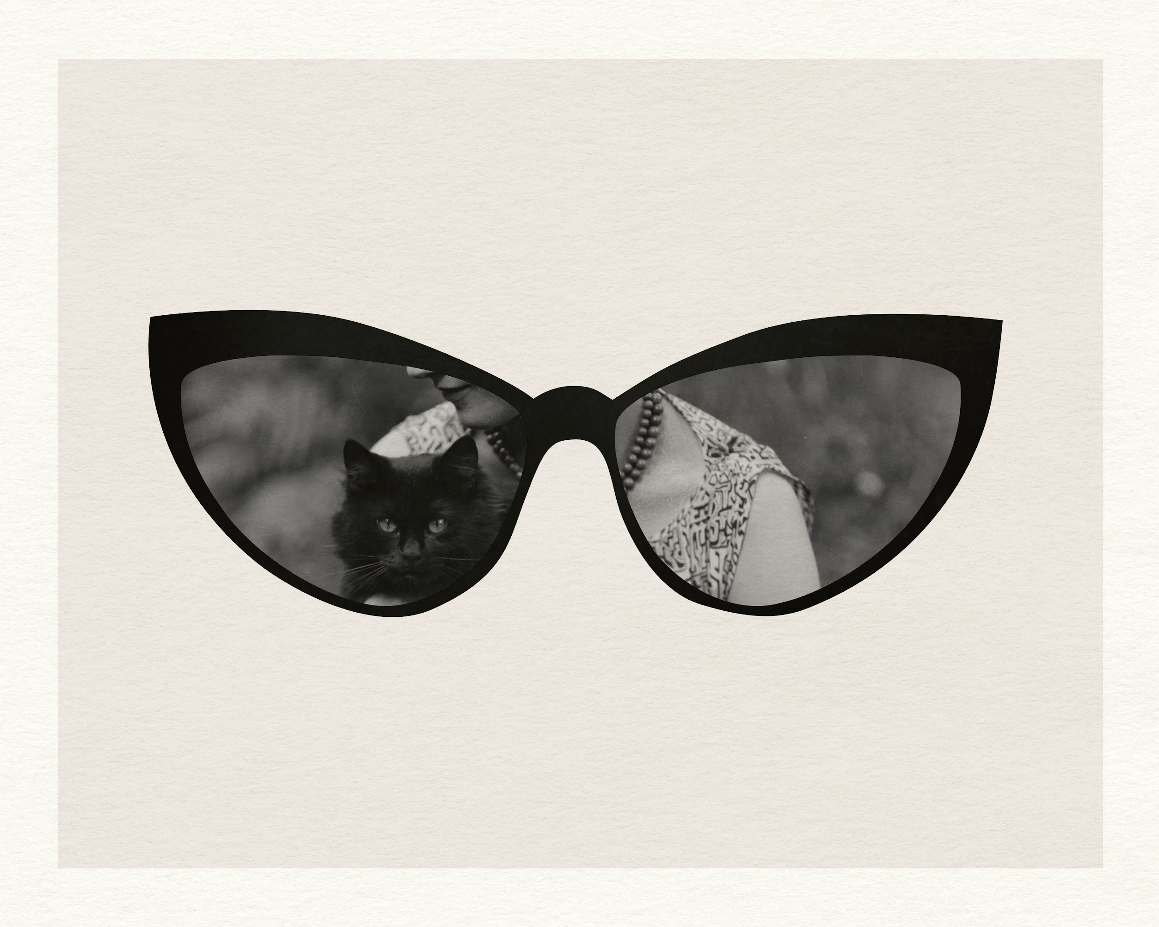 Butterfly Vision Poster 0