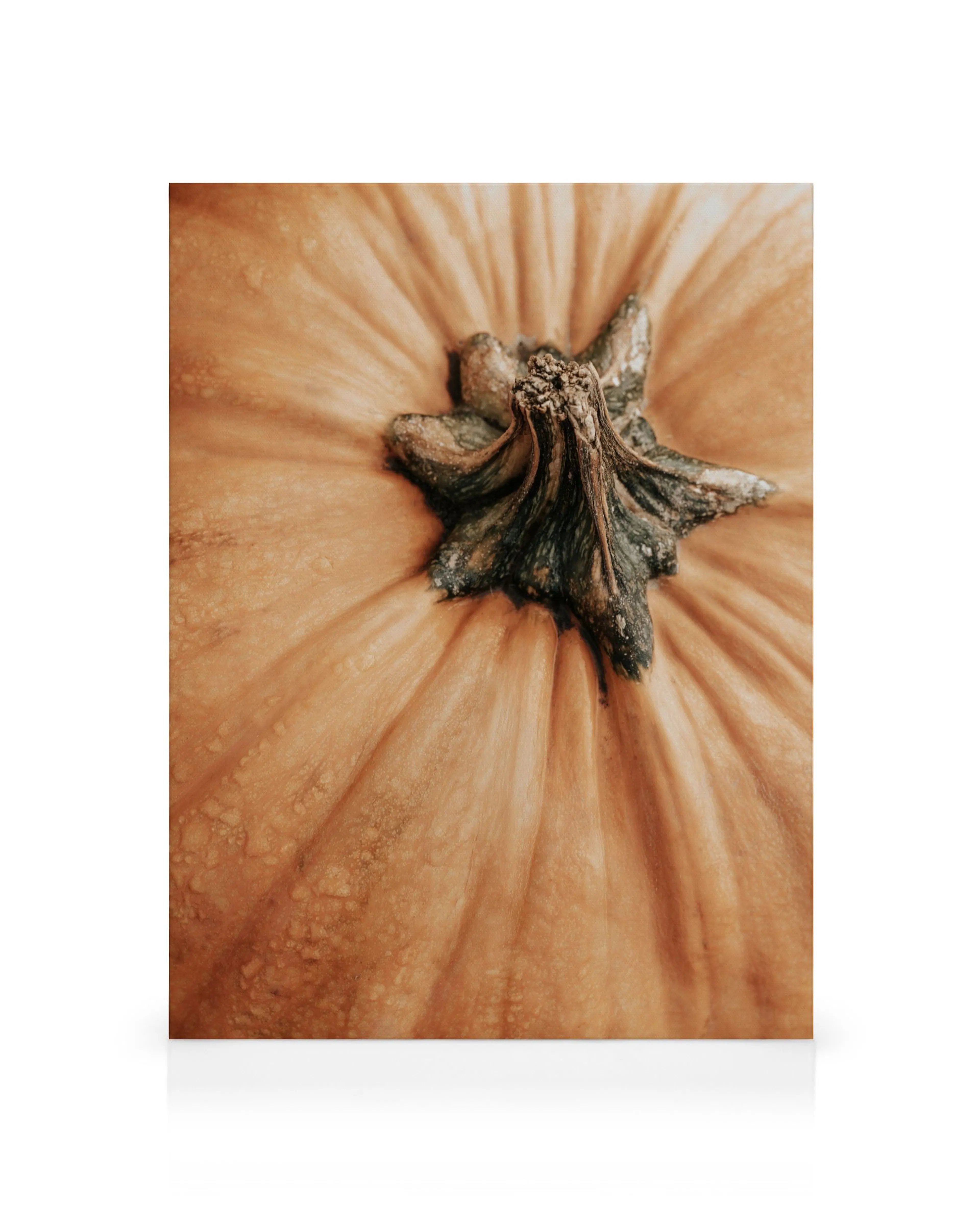 Product image: 1