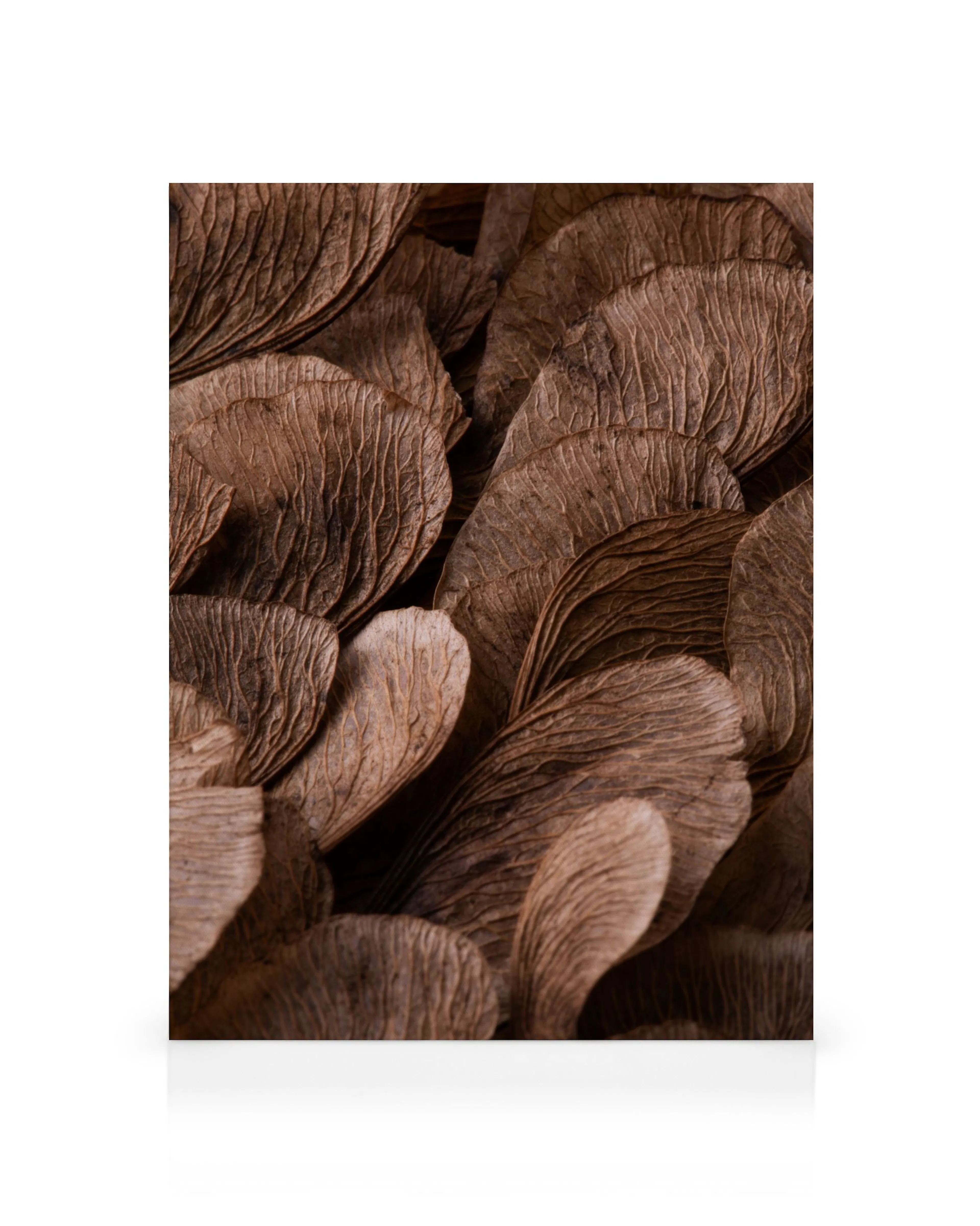 Product image: 1