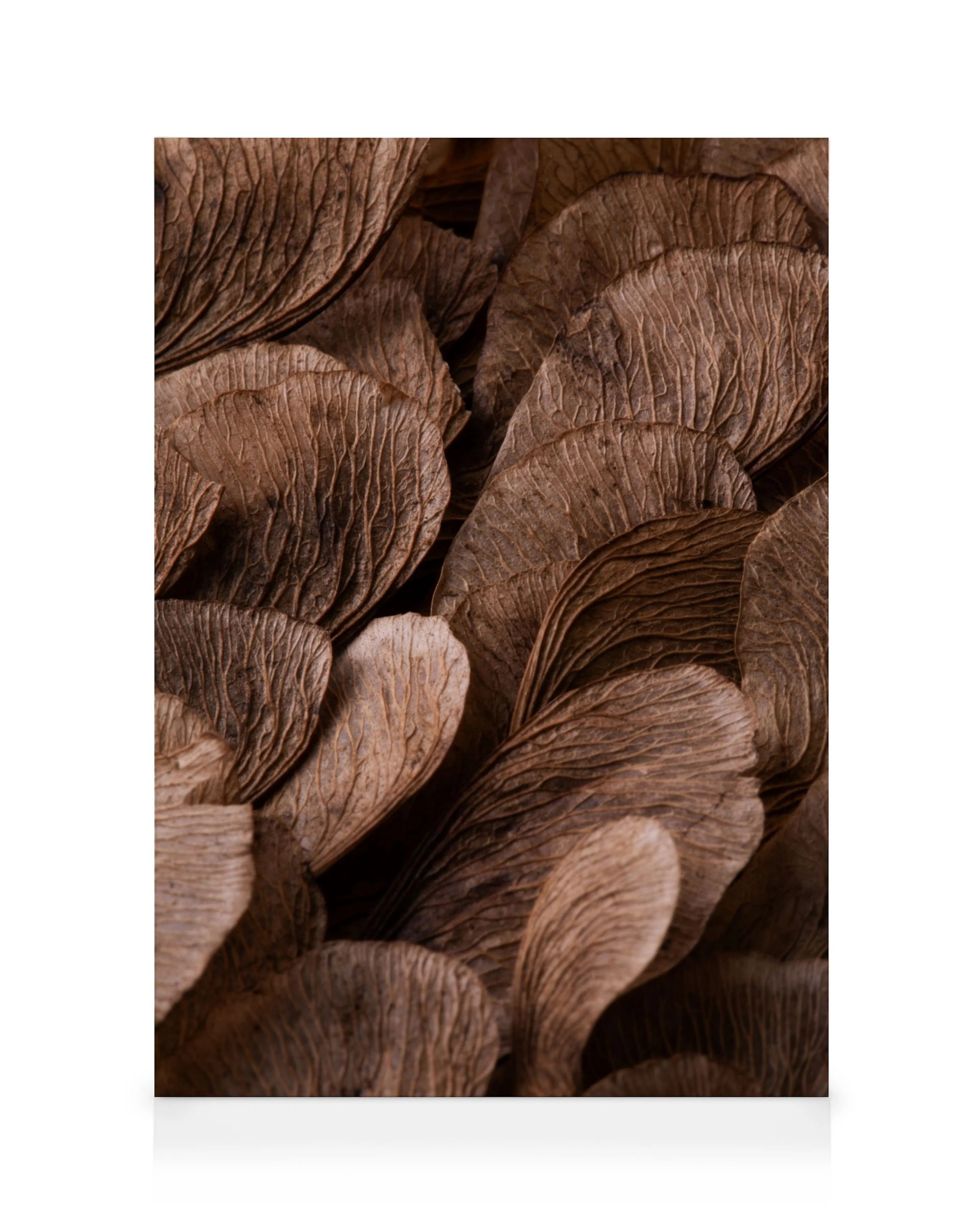 Textures marron toile 0
