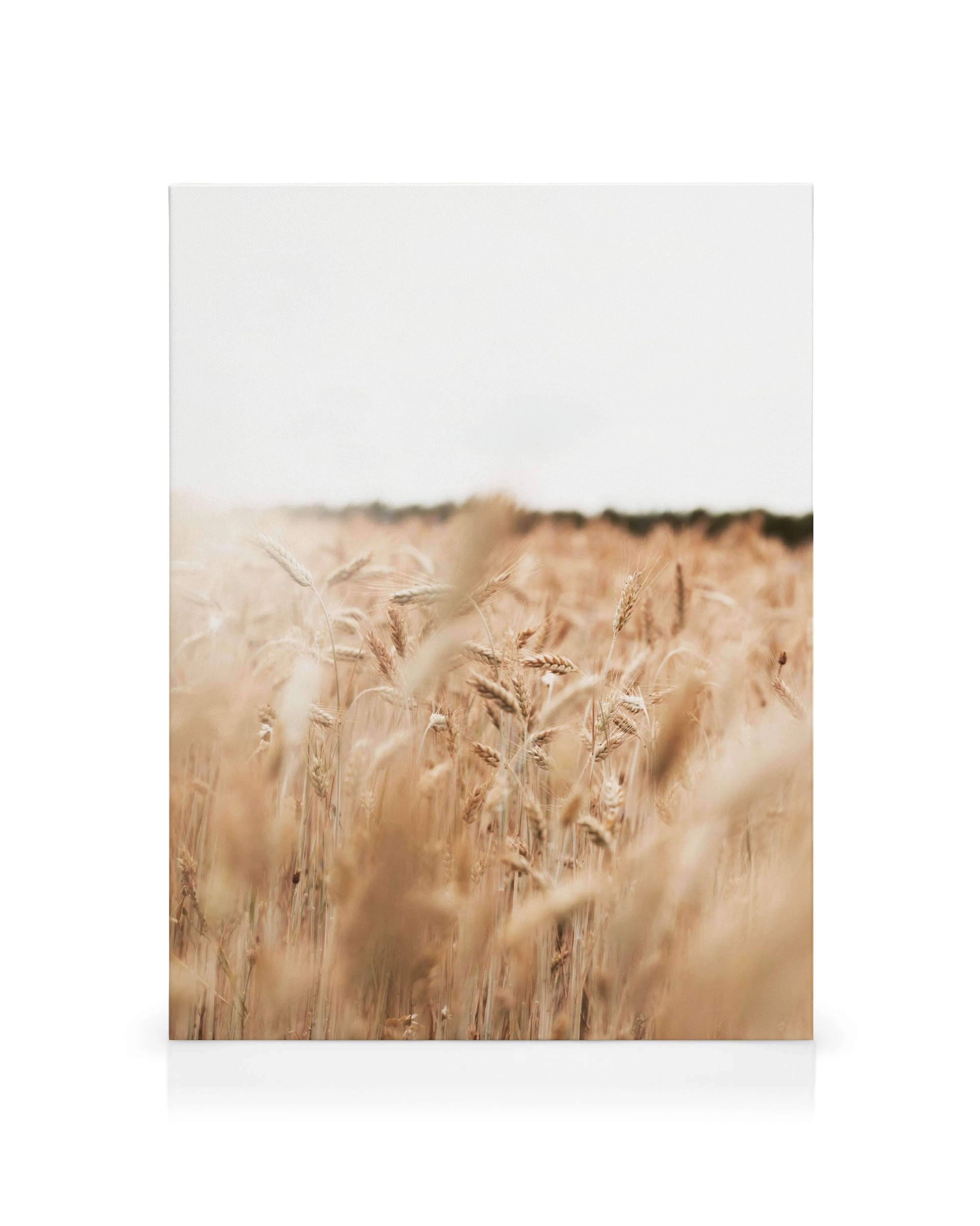 Product image: 1