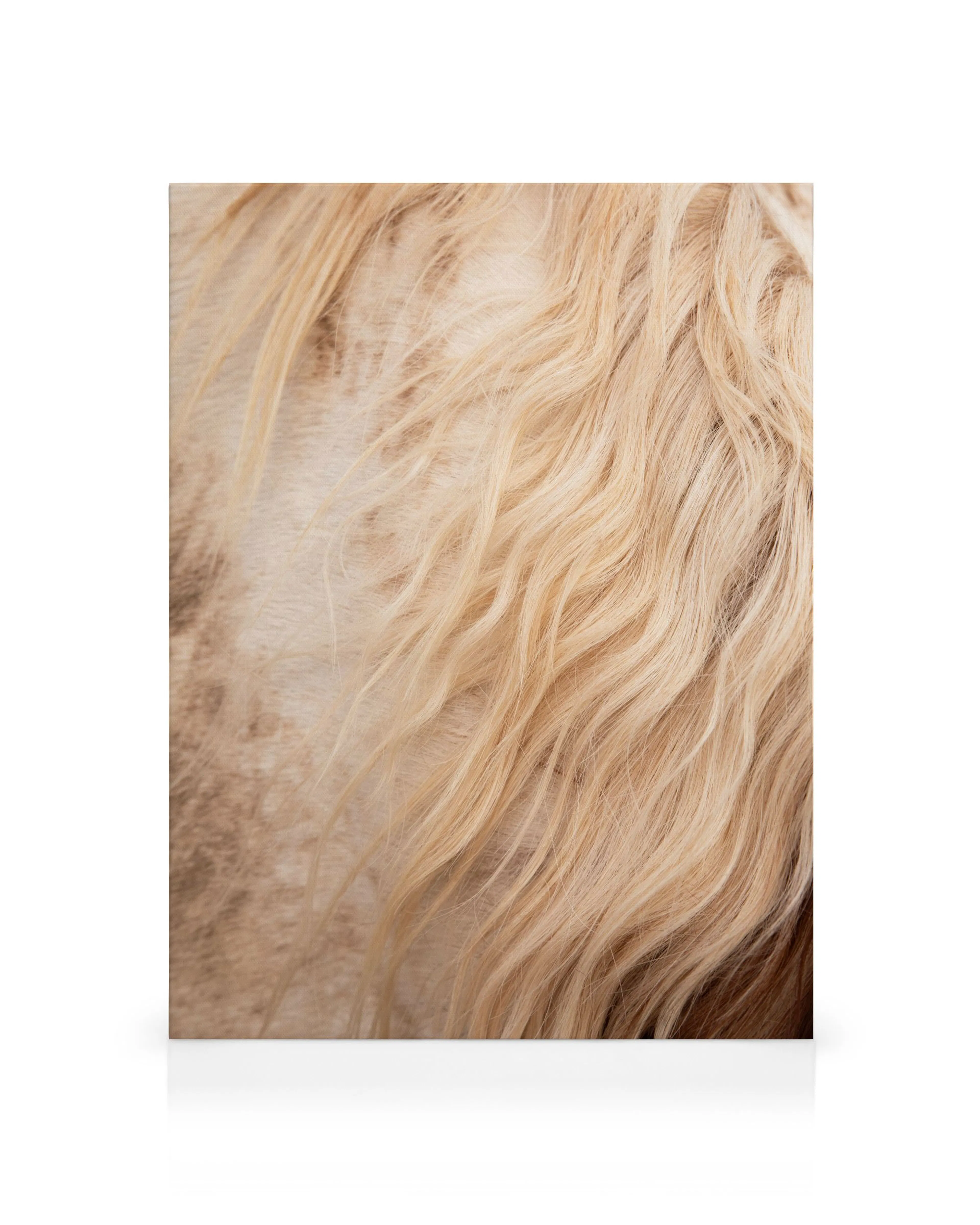 Product image: 1