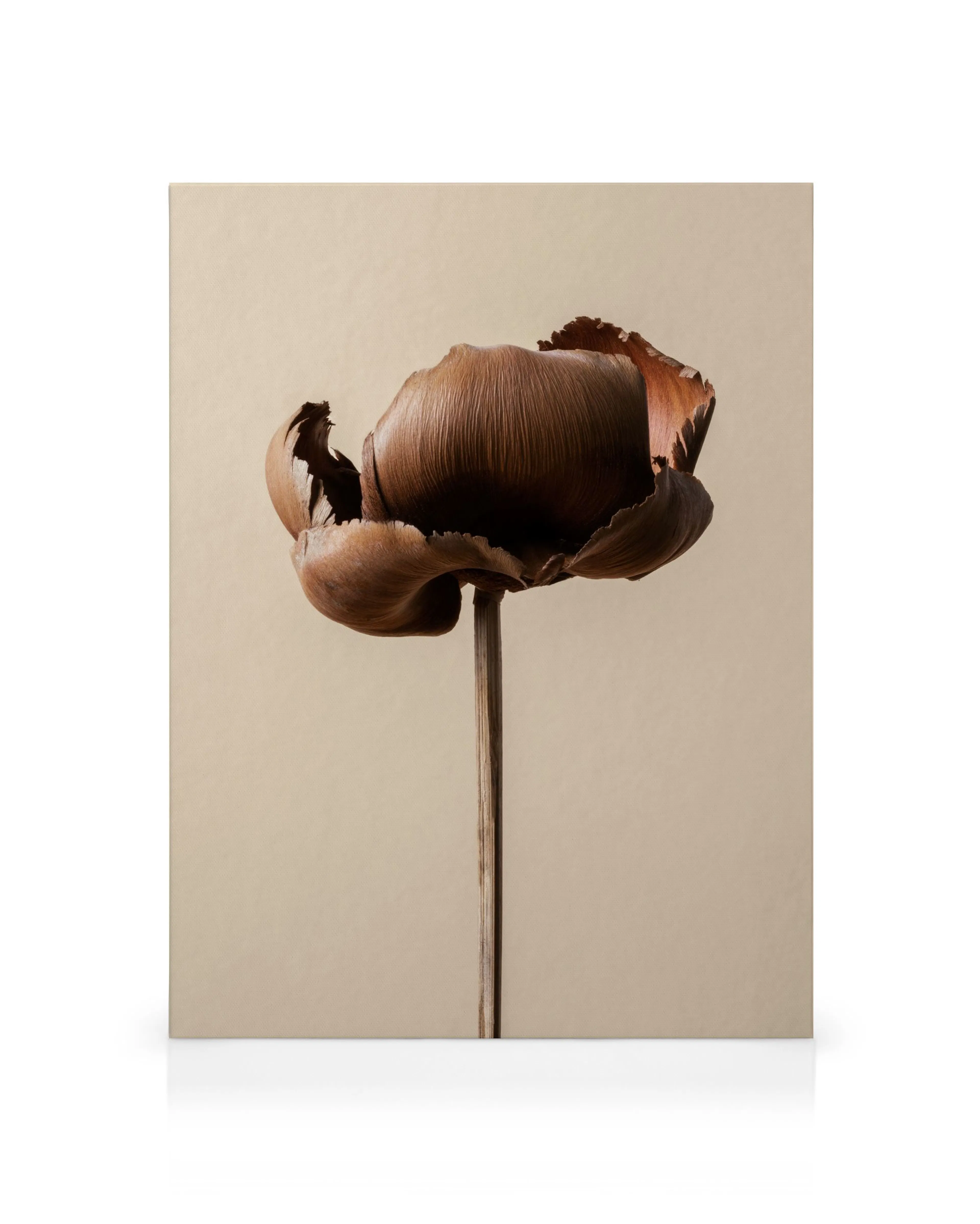 Product image: 1