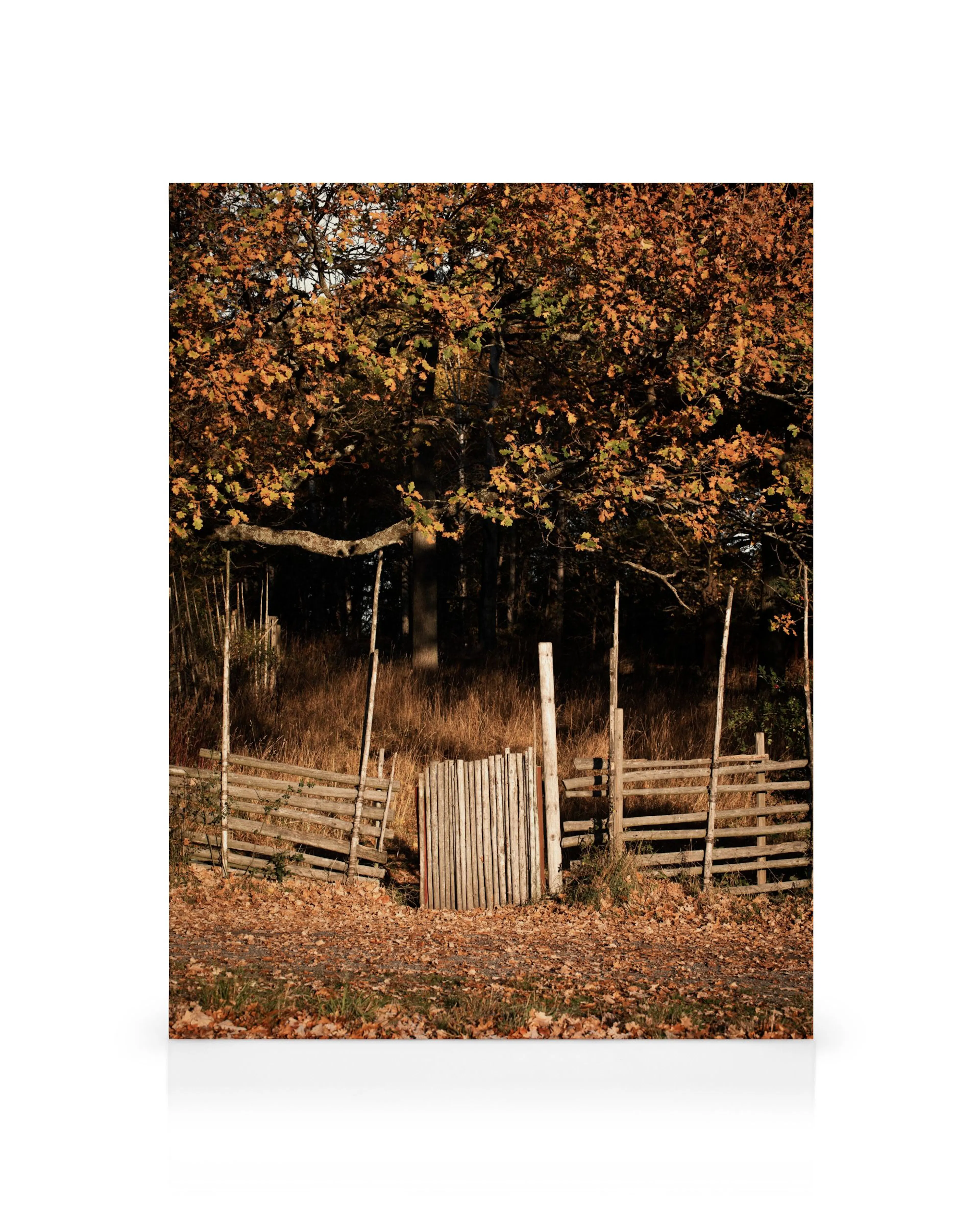 Product image: 1