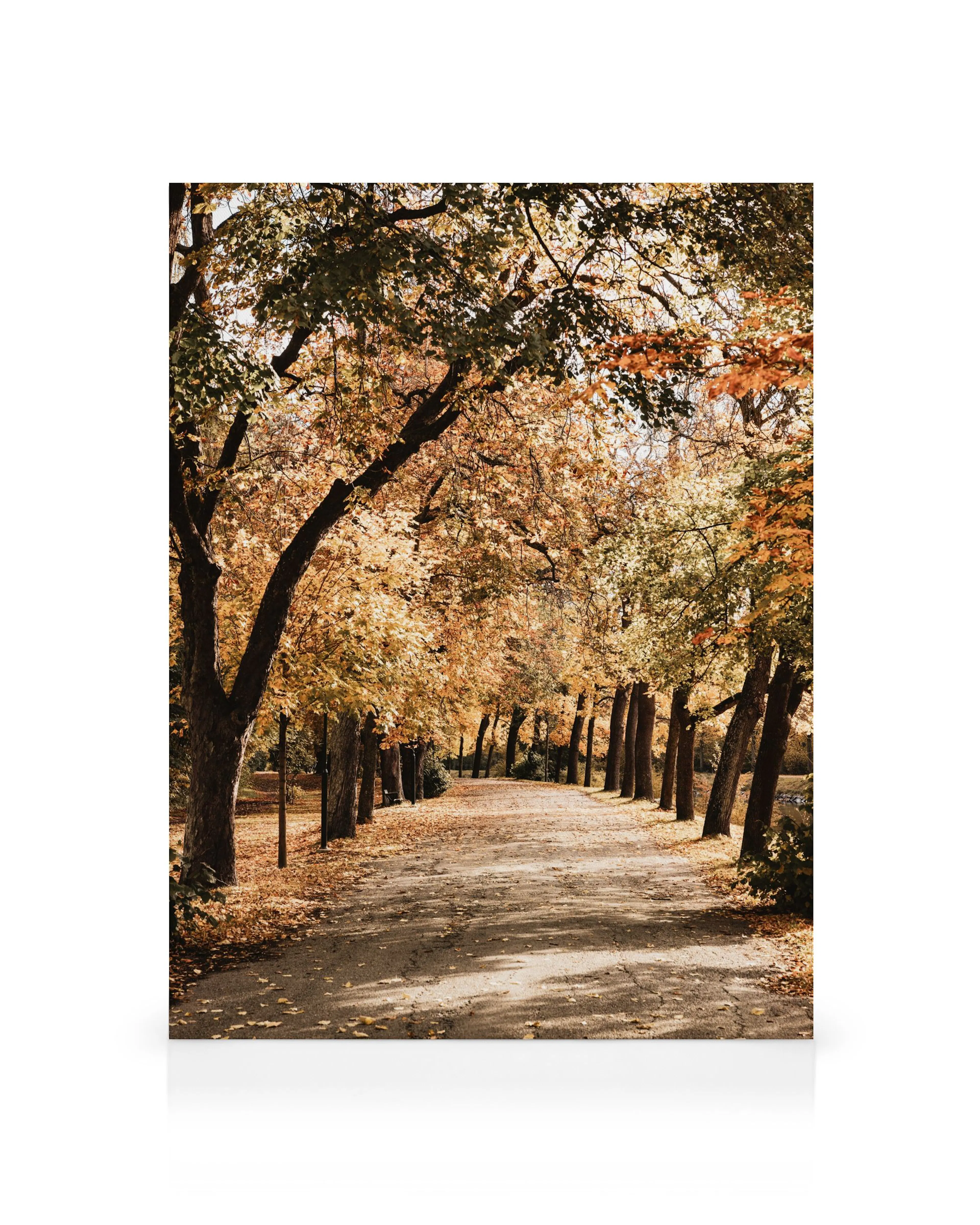 Product image: 1