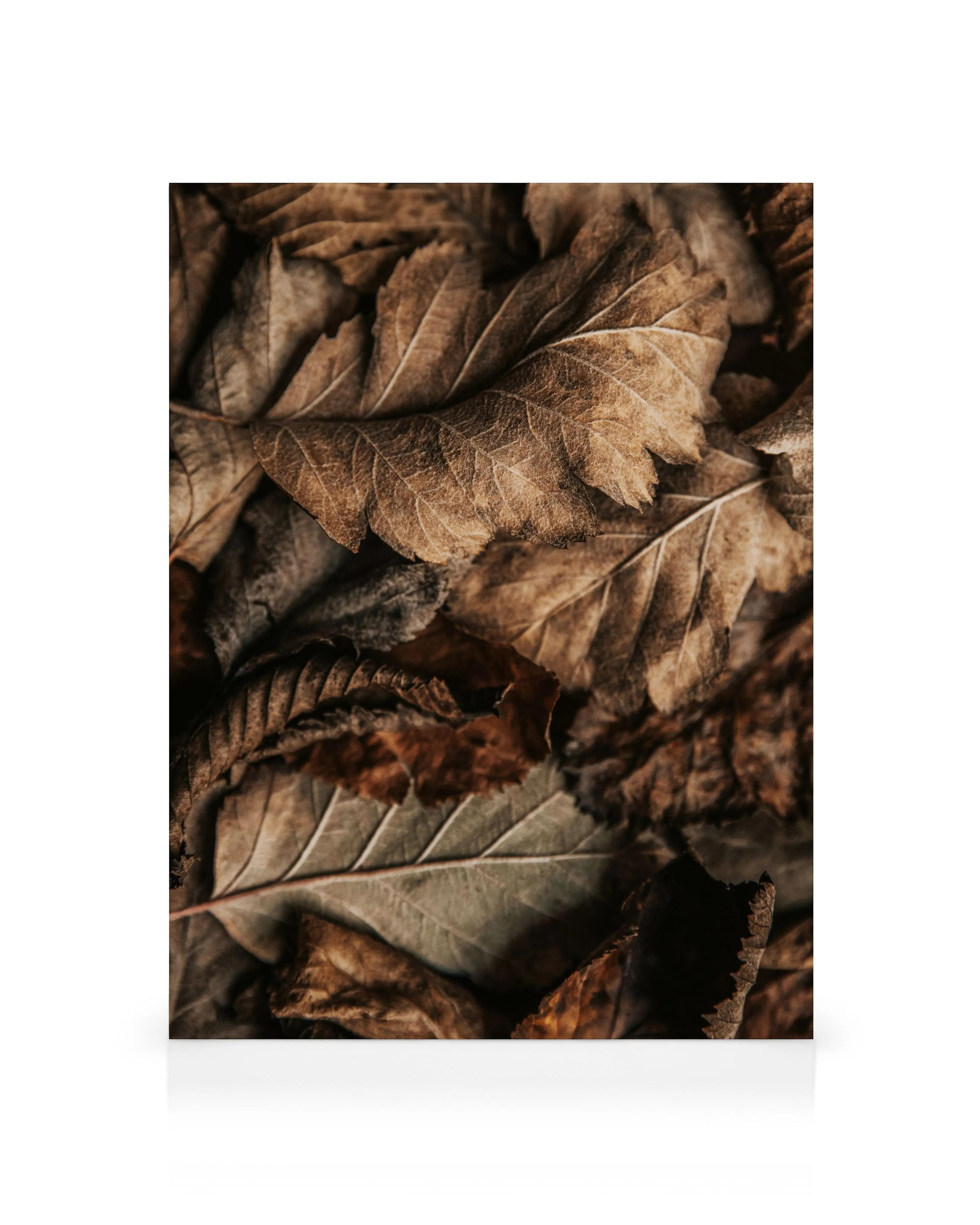 Product image: 1