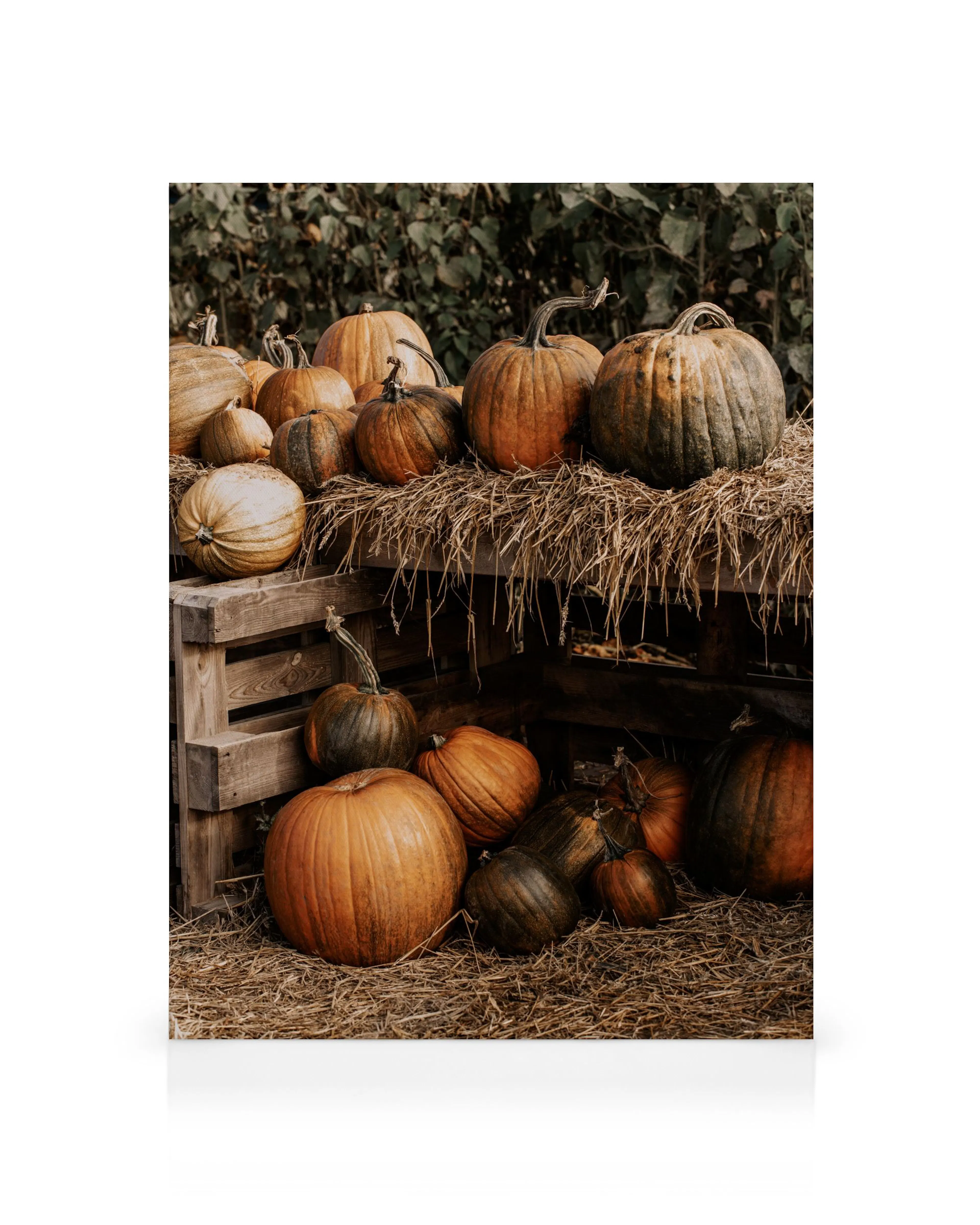 Product image: 1
