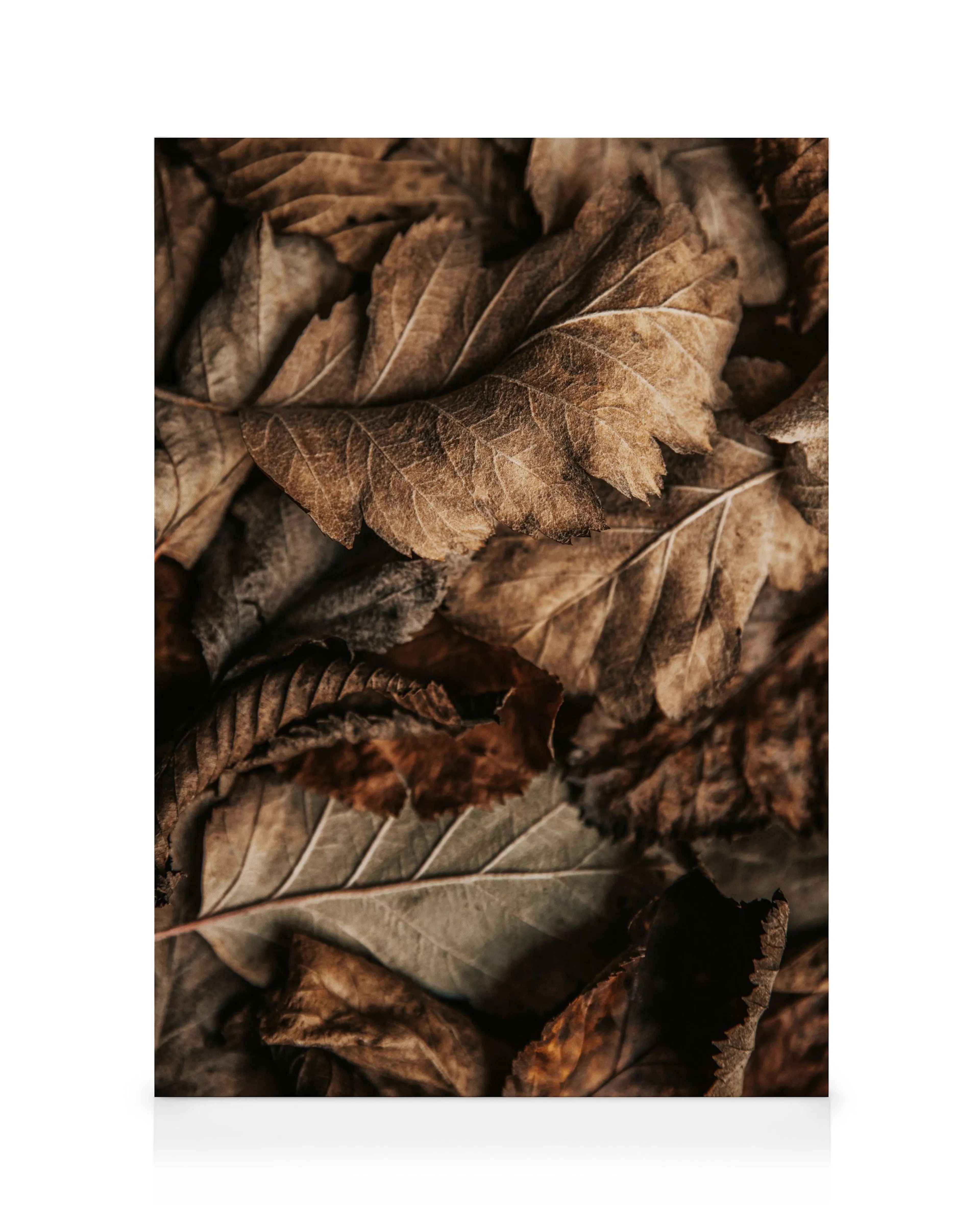 Texture Foglie d'Autunno stampa su tela 0