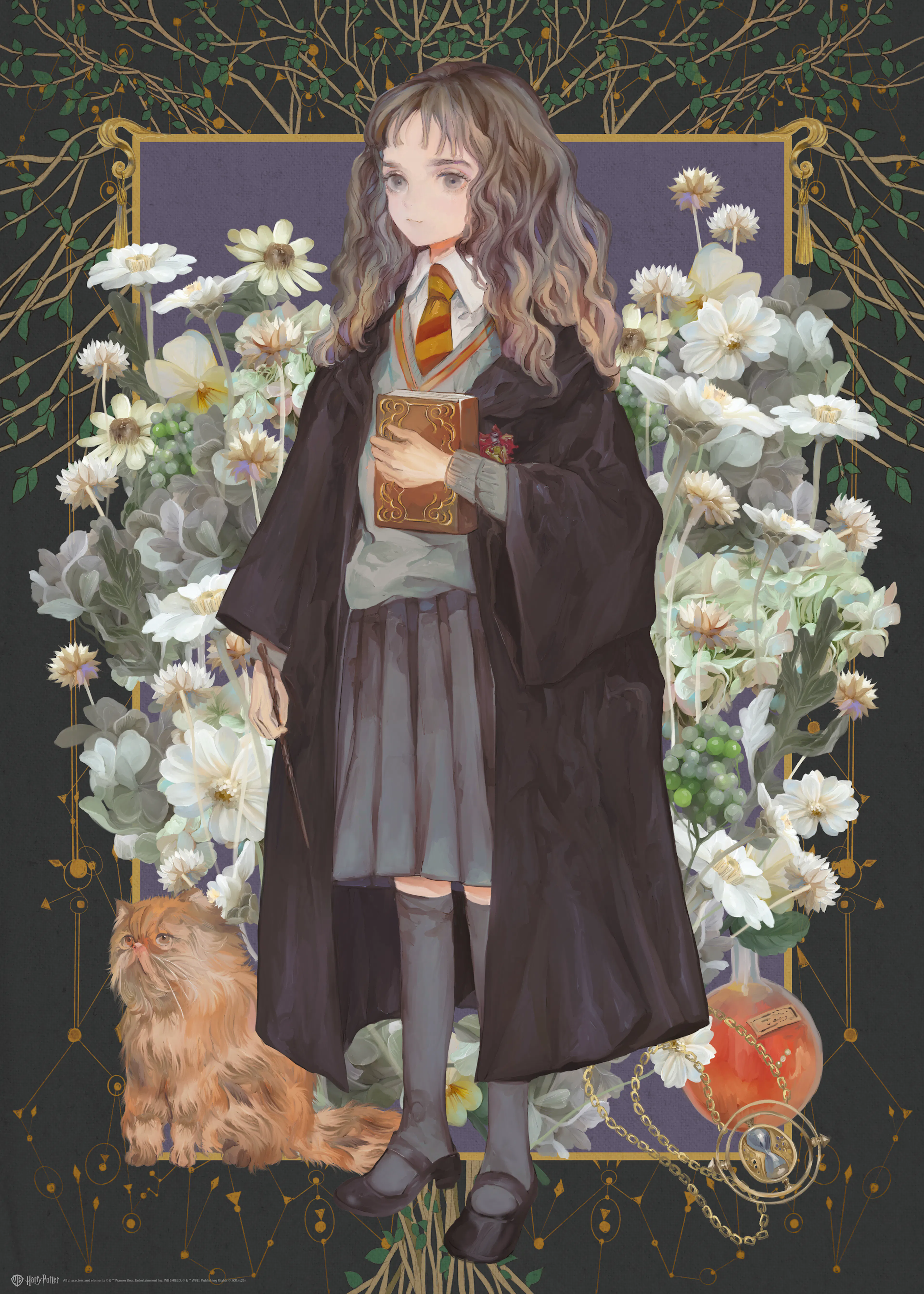 Harry Potter™ - Hermione Granger Illustration Poster 0
