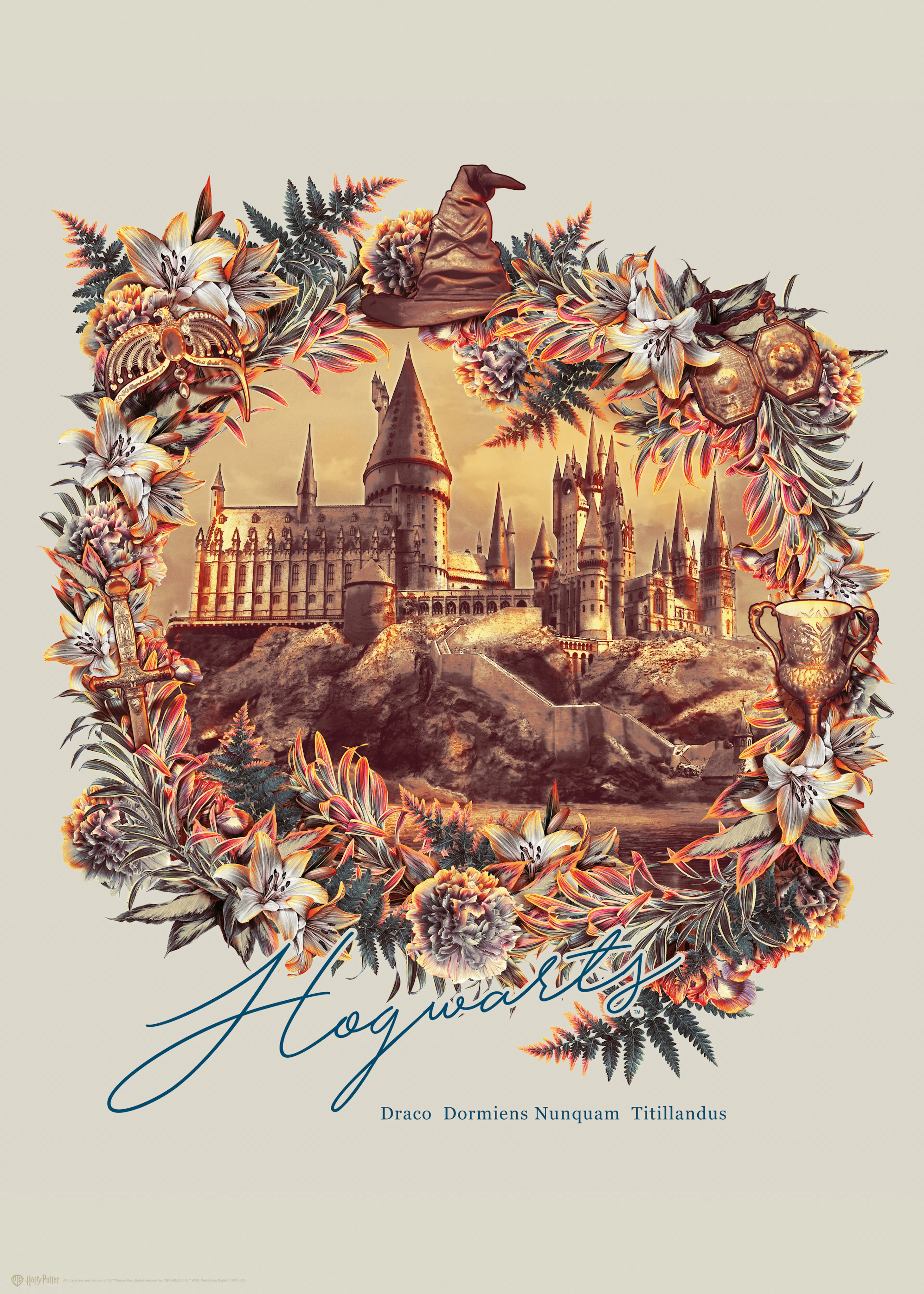 Harry Potter™ - Hogwarts School Illustration Poster 0