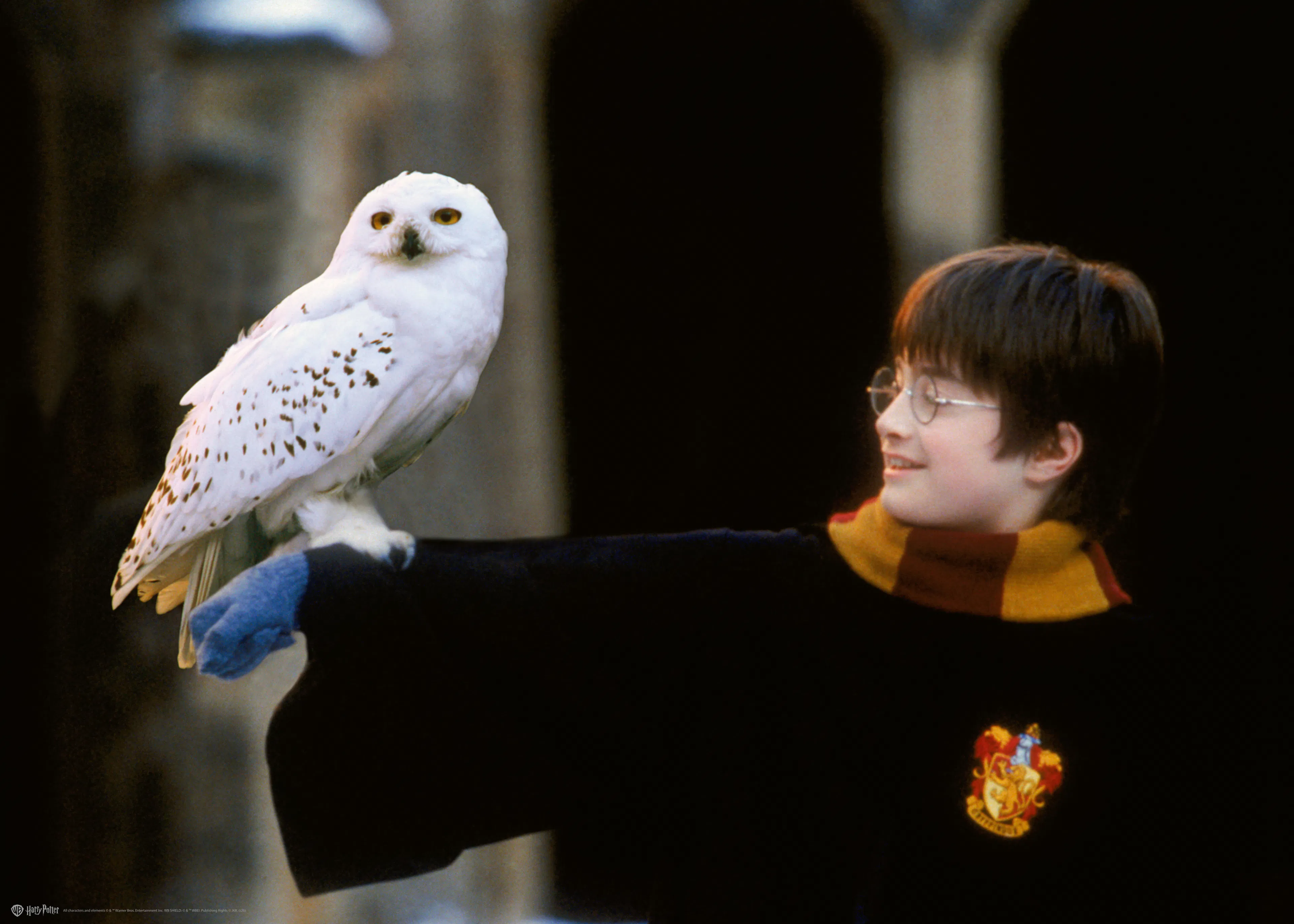Harry Potter™ - Hedvig and Harry Poster 0