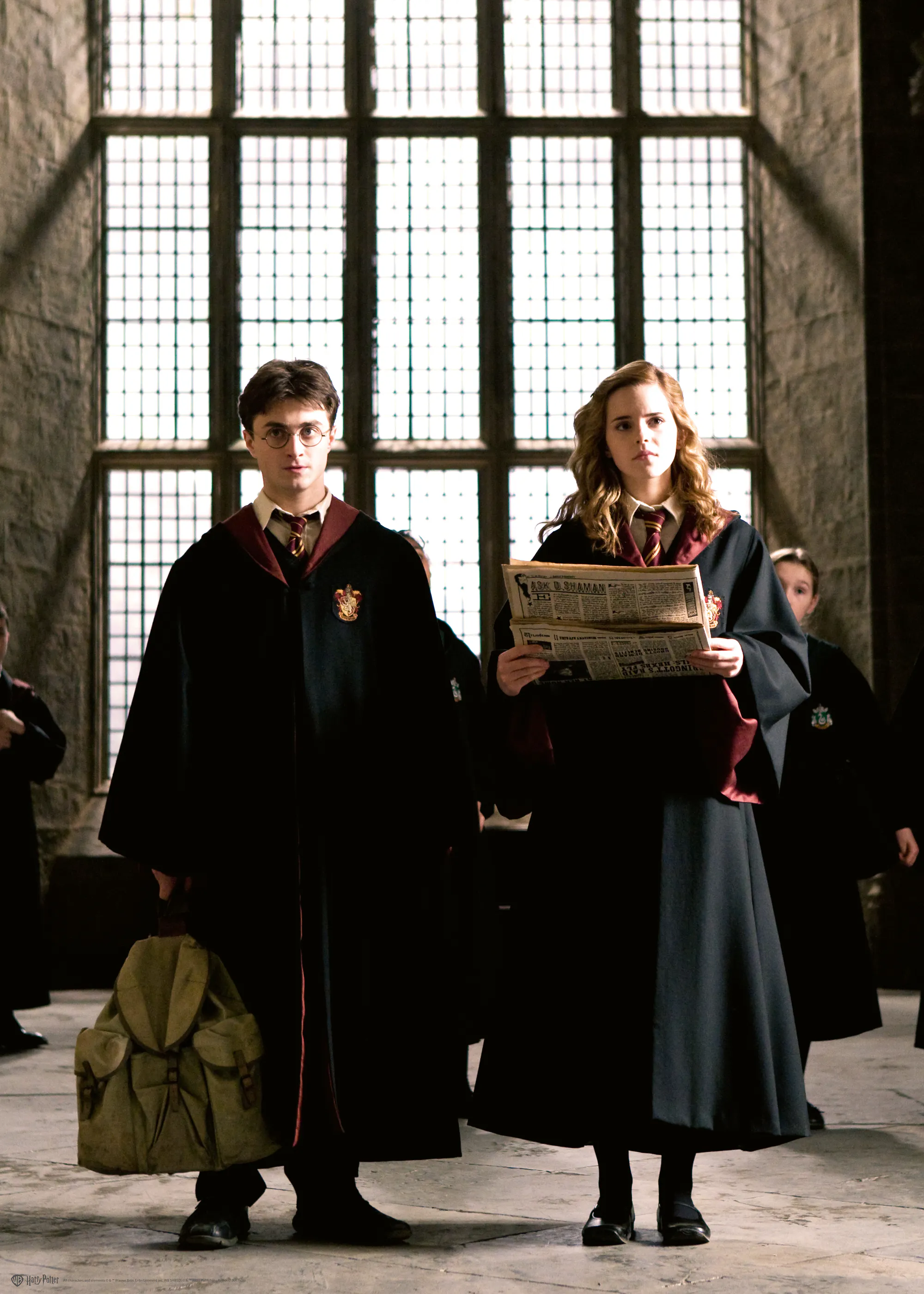 Harry Potter™ - Harry and Hermione Hogwarts Poster 0