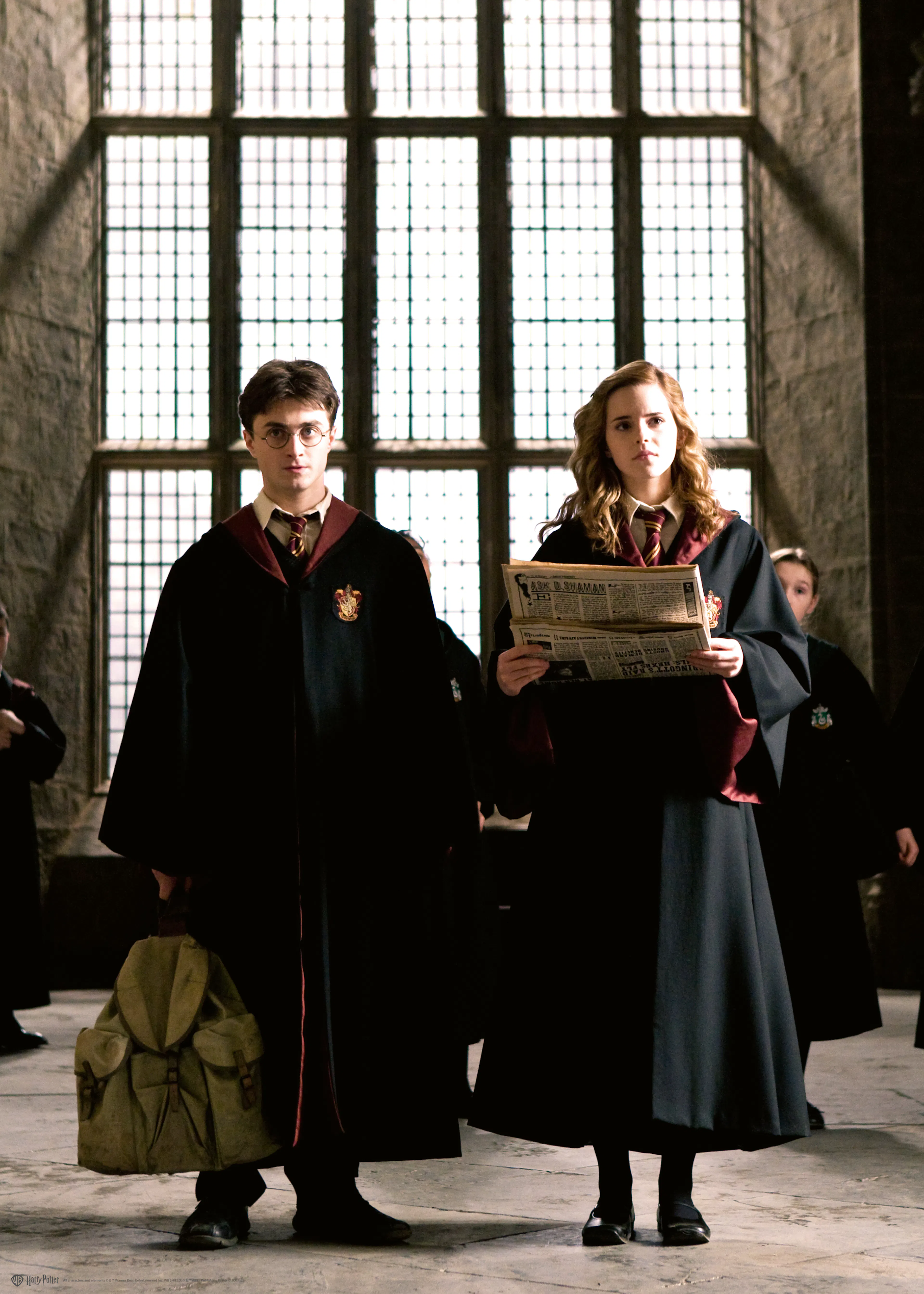 Harry Potter™ - Harry and Hermione Hogwarts Poster 0