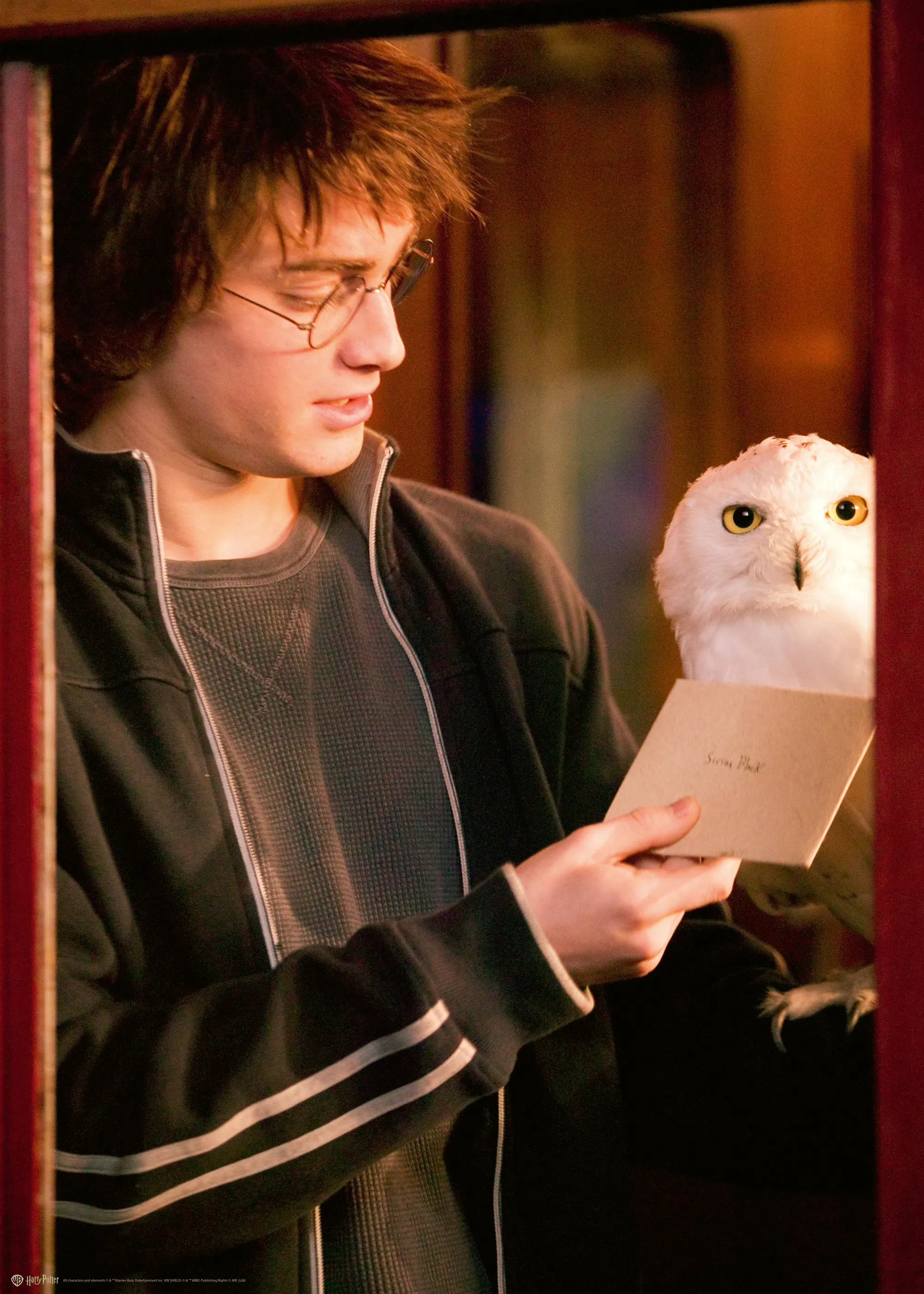 Harry Potter™ - Hedvig Plakat 0