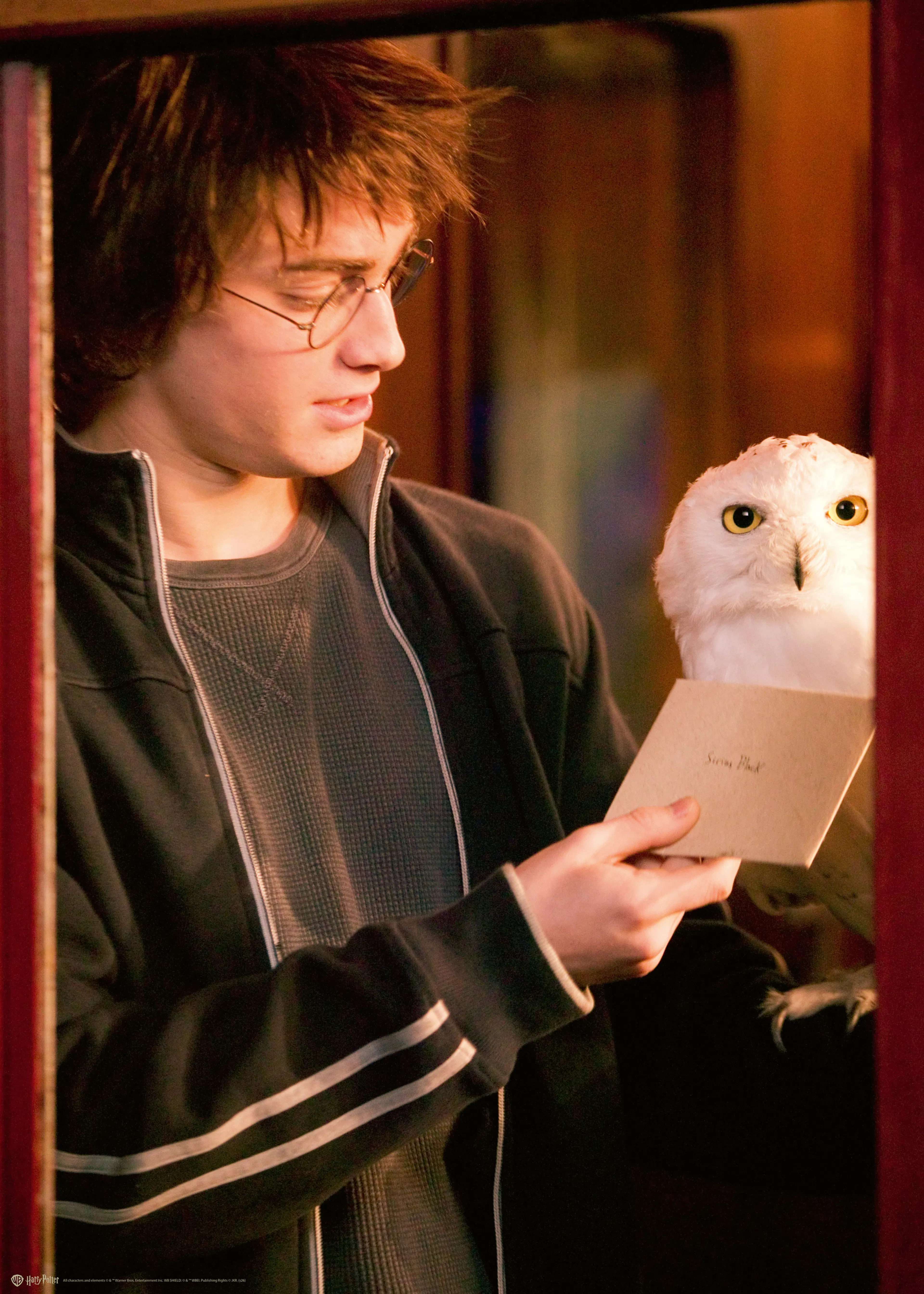 Harry Potter™ - Hedvig Poster 0