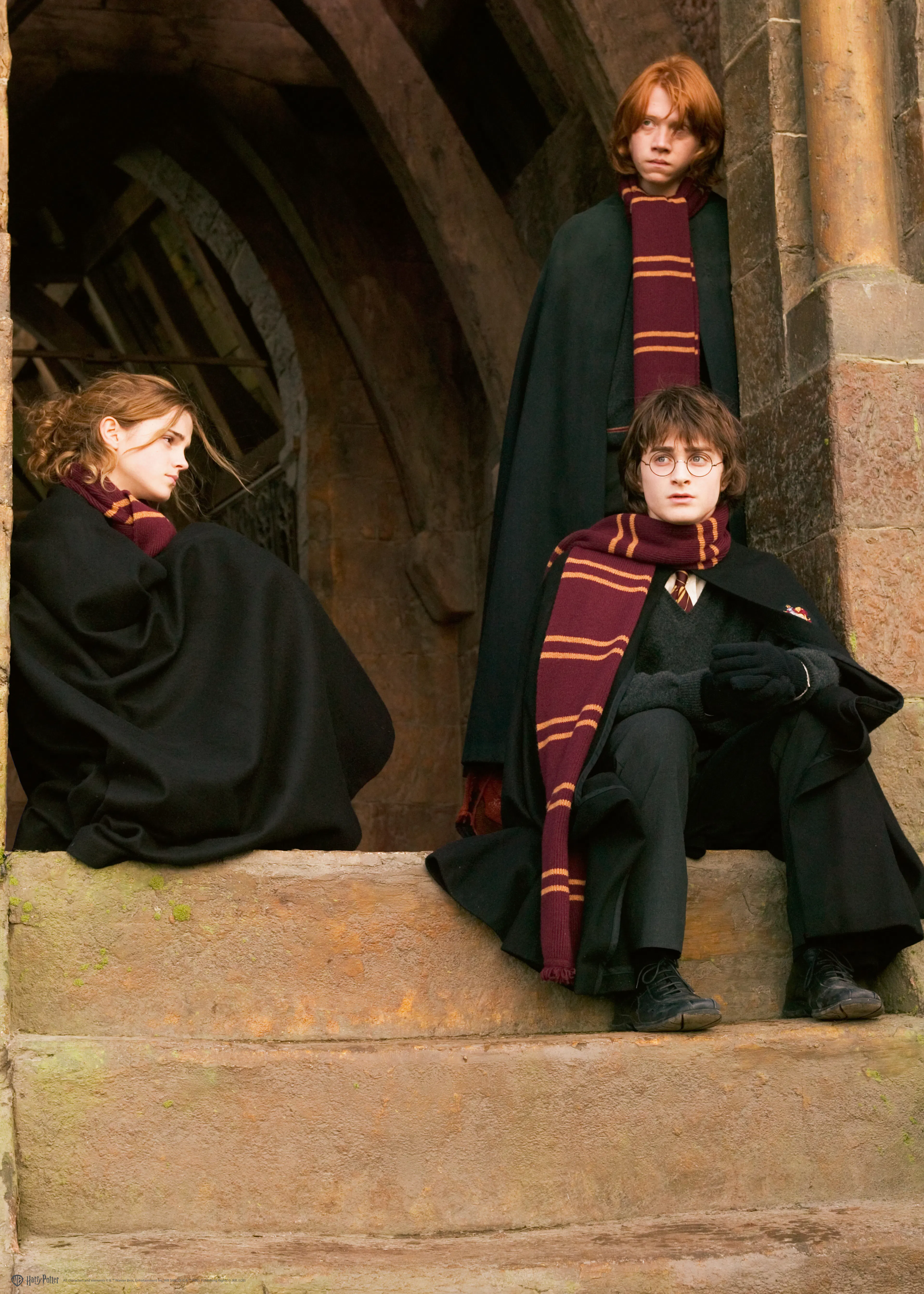 Harry Potter™ - Harry Ron Hermione Poster 0
