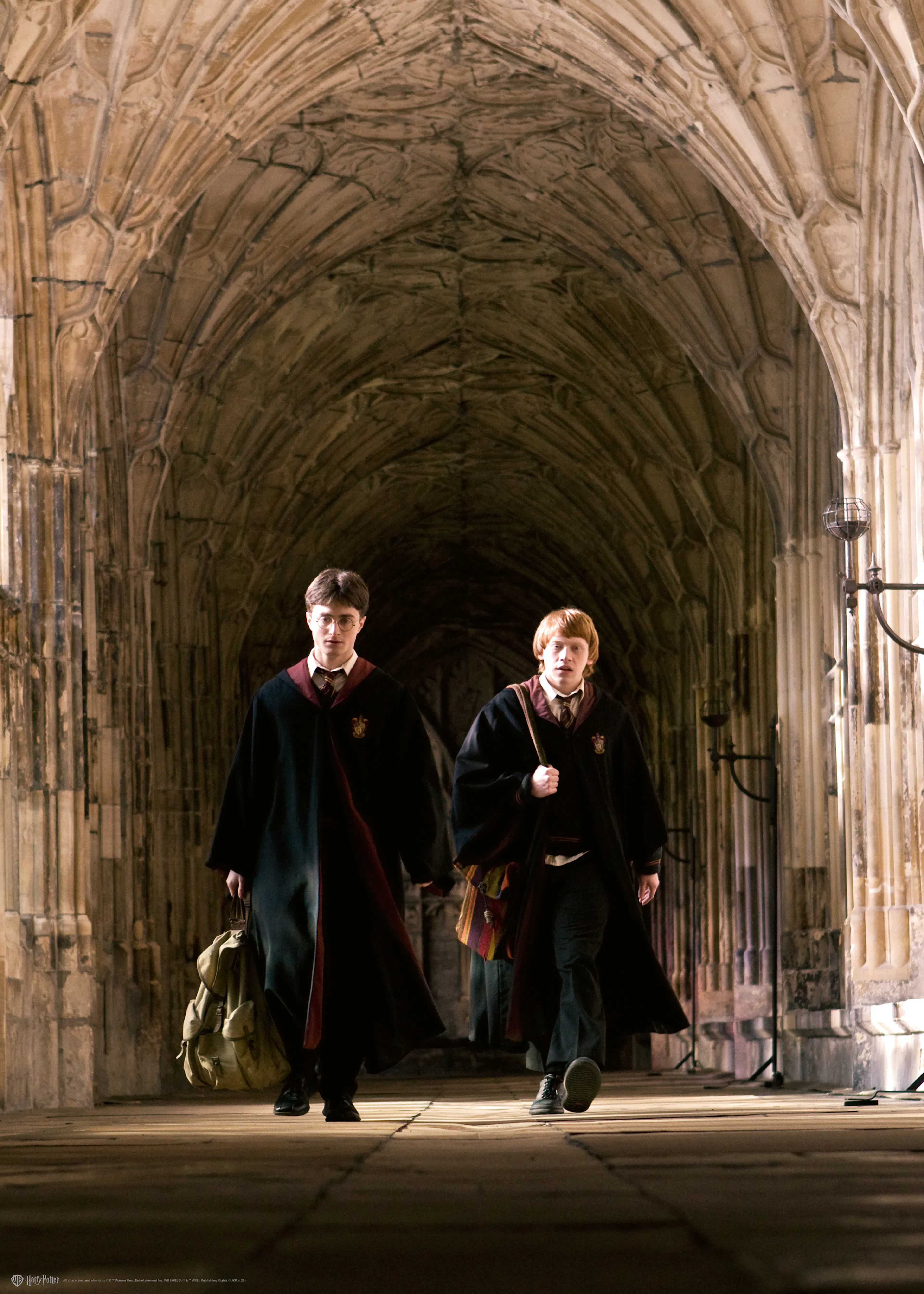 Harry Potter™ - Harry and Ron Poster 0