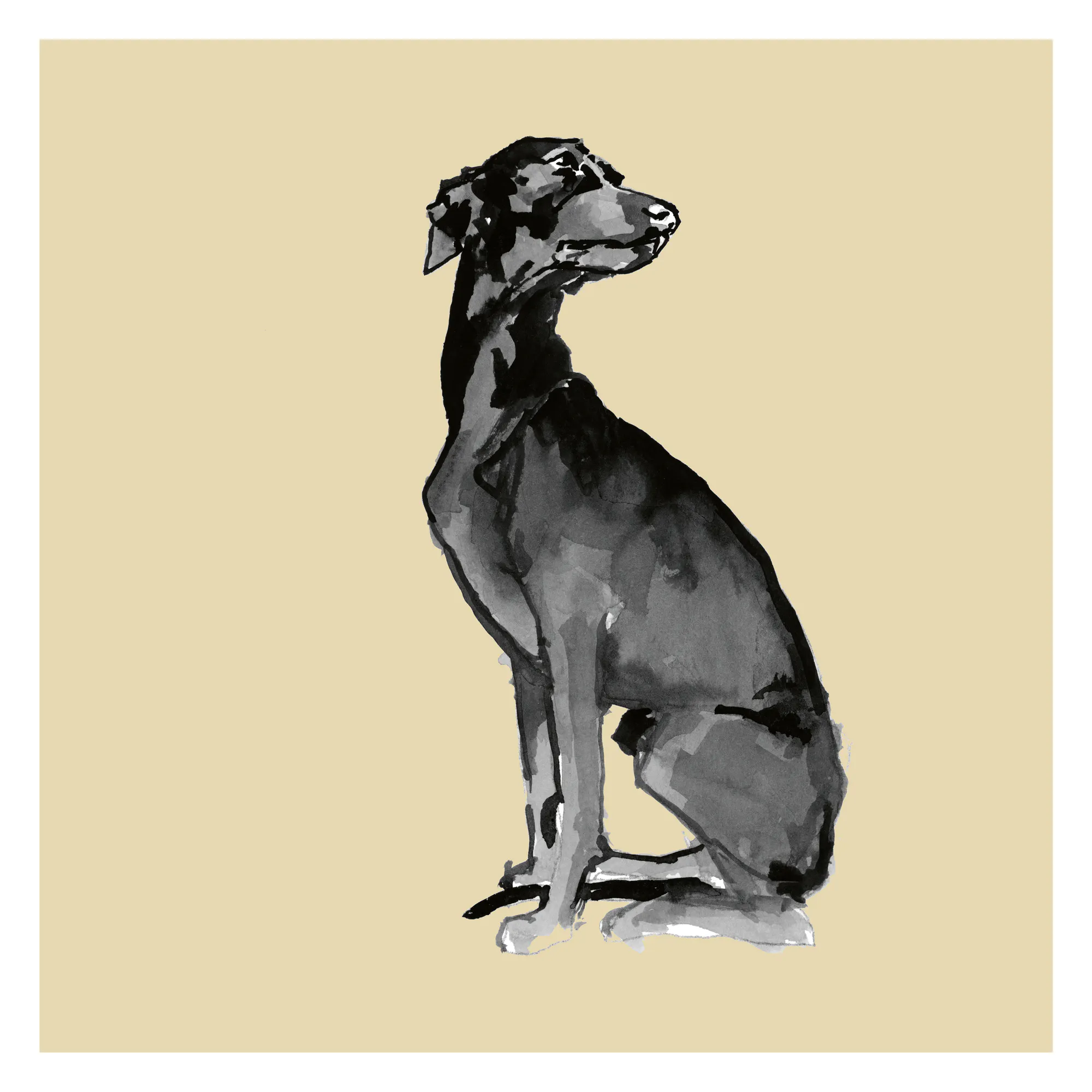 Elegant Doberman Poster 0