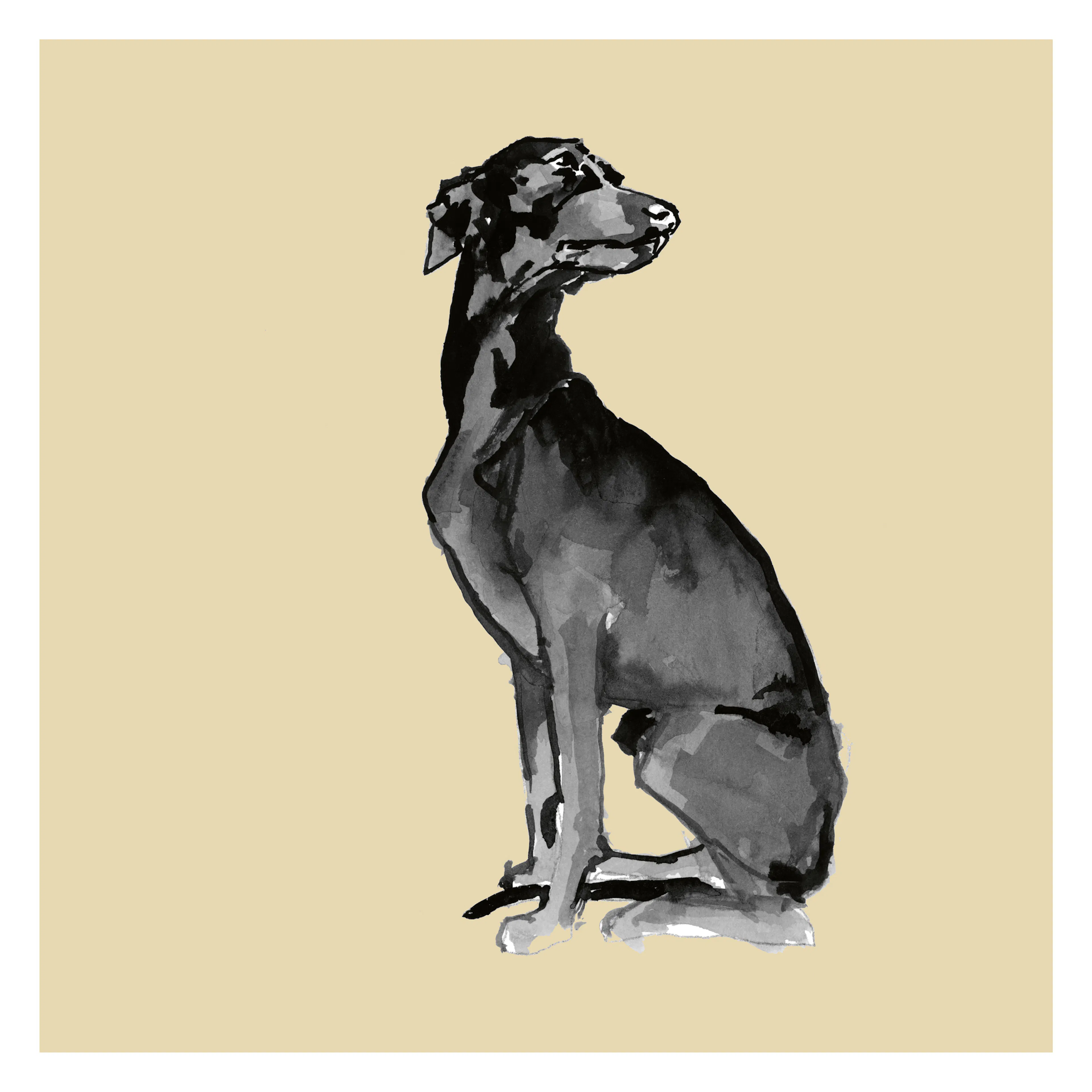 Elegant Doberman Poster 0
