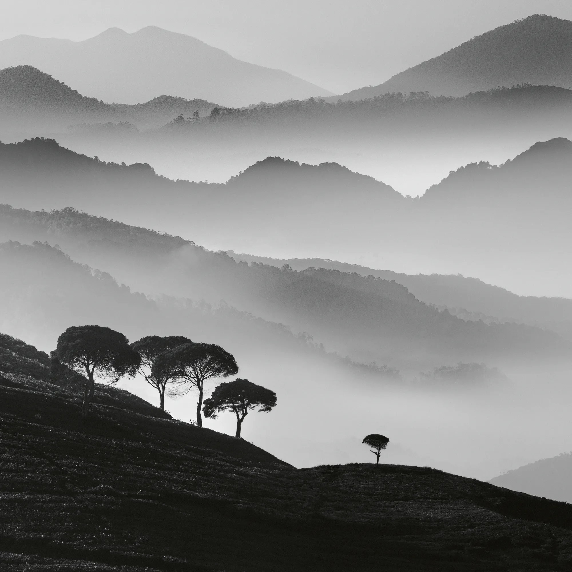 Gray Misty Mountains Poster 0
