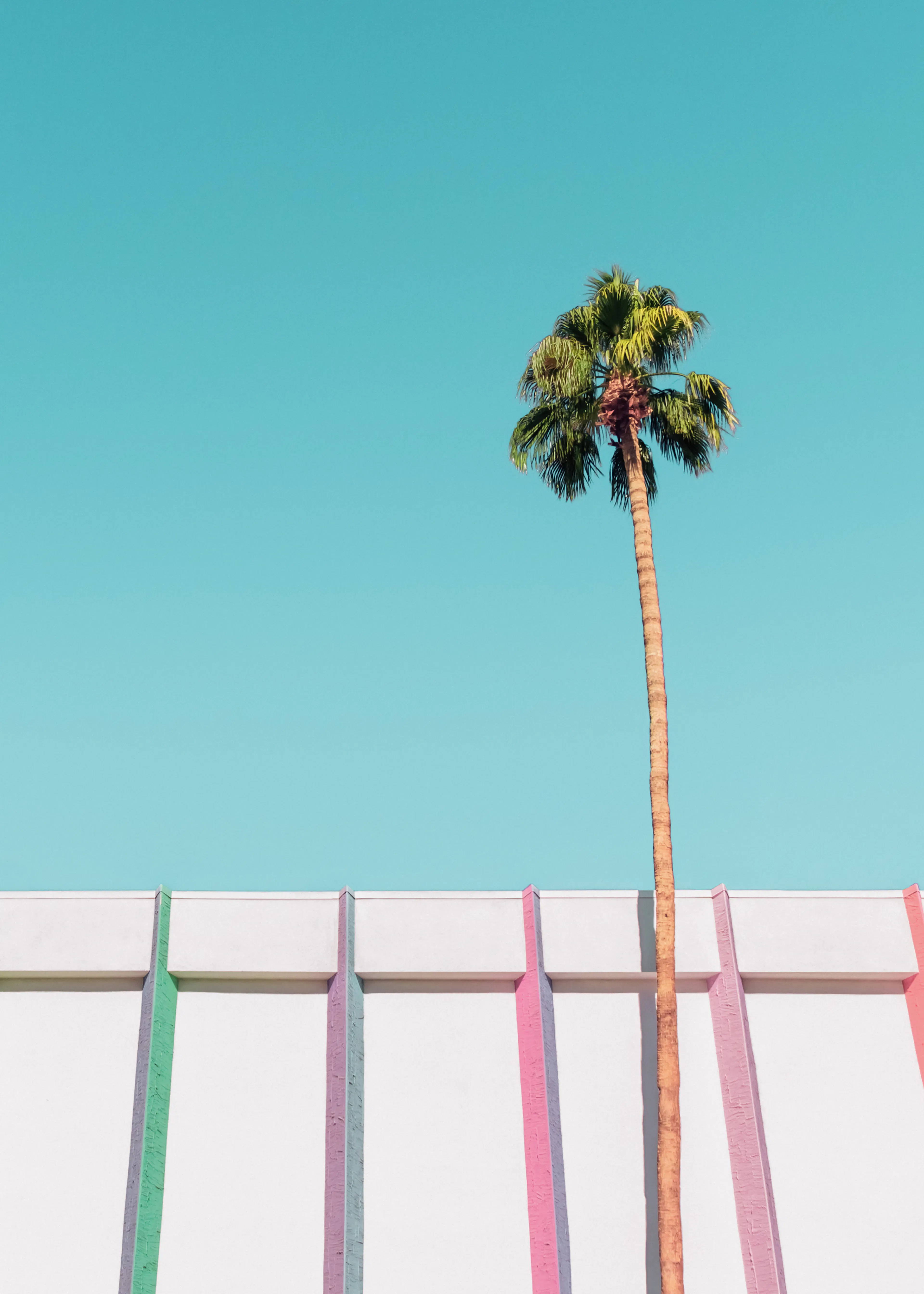 Palm Vibes Poster 0