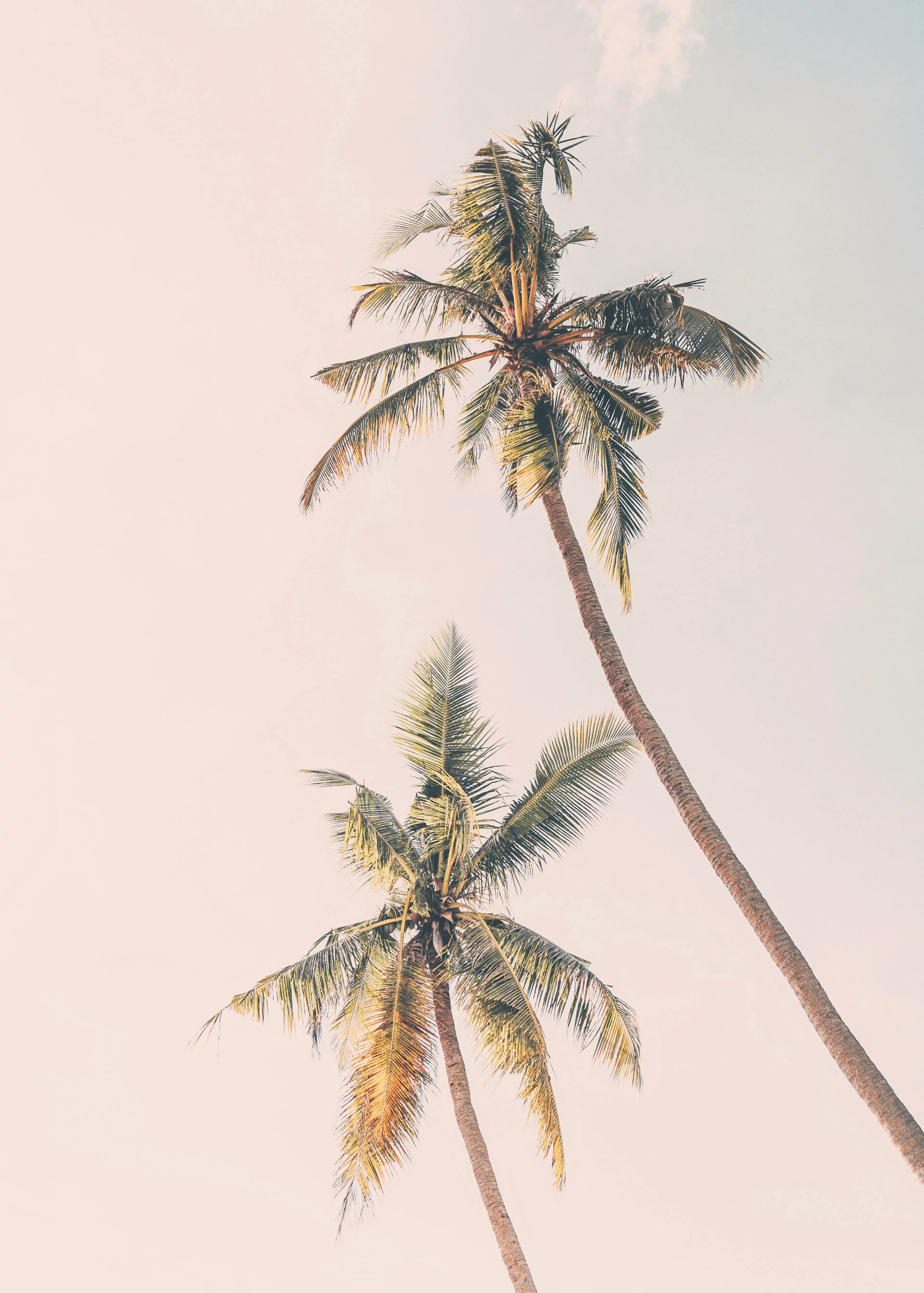 Green Tropical Vibes Poster 0