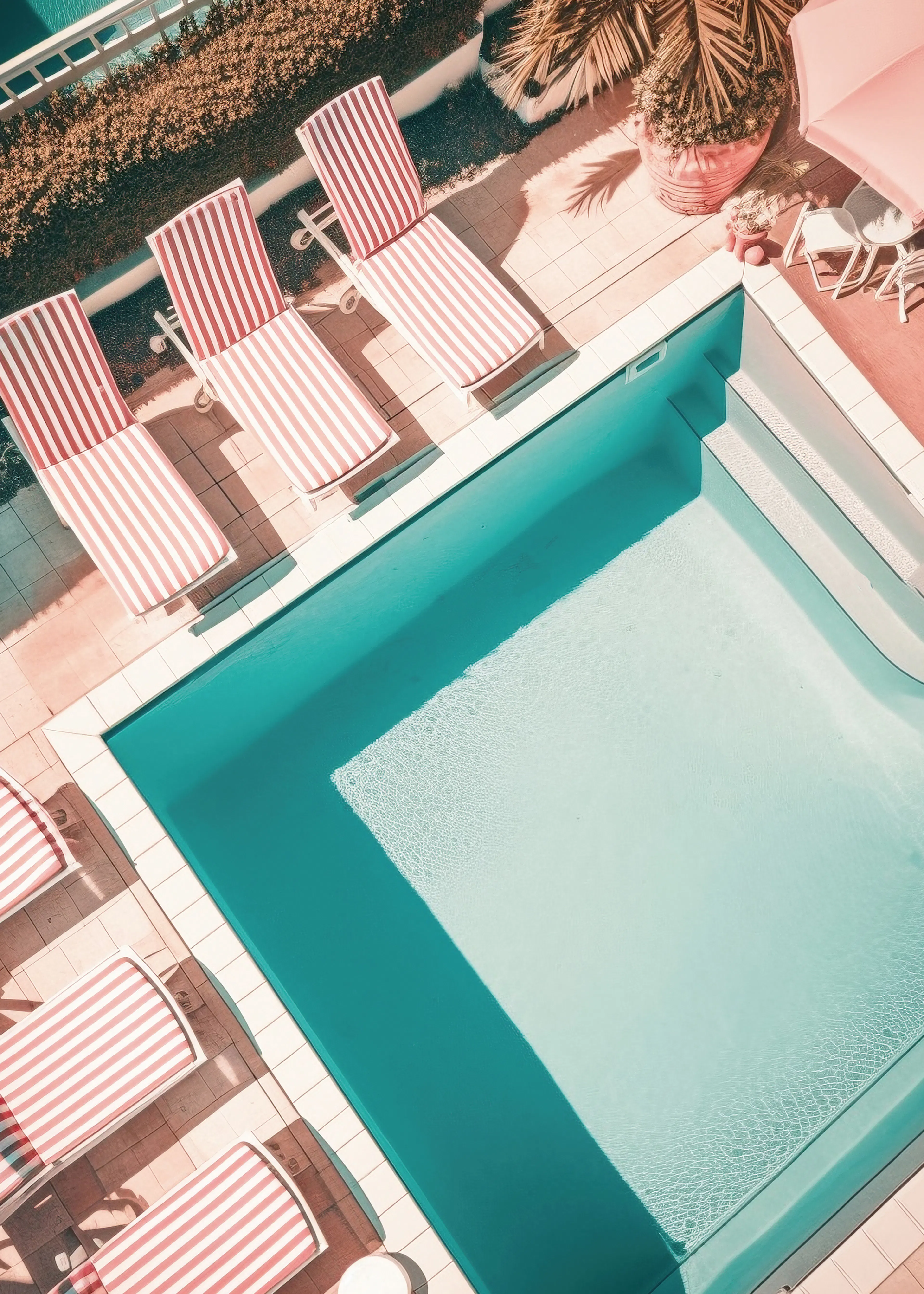 Summer Vibes Poster 0