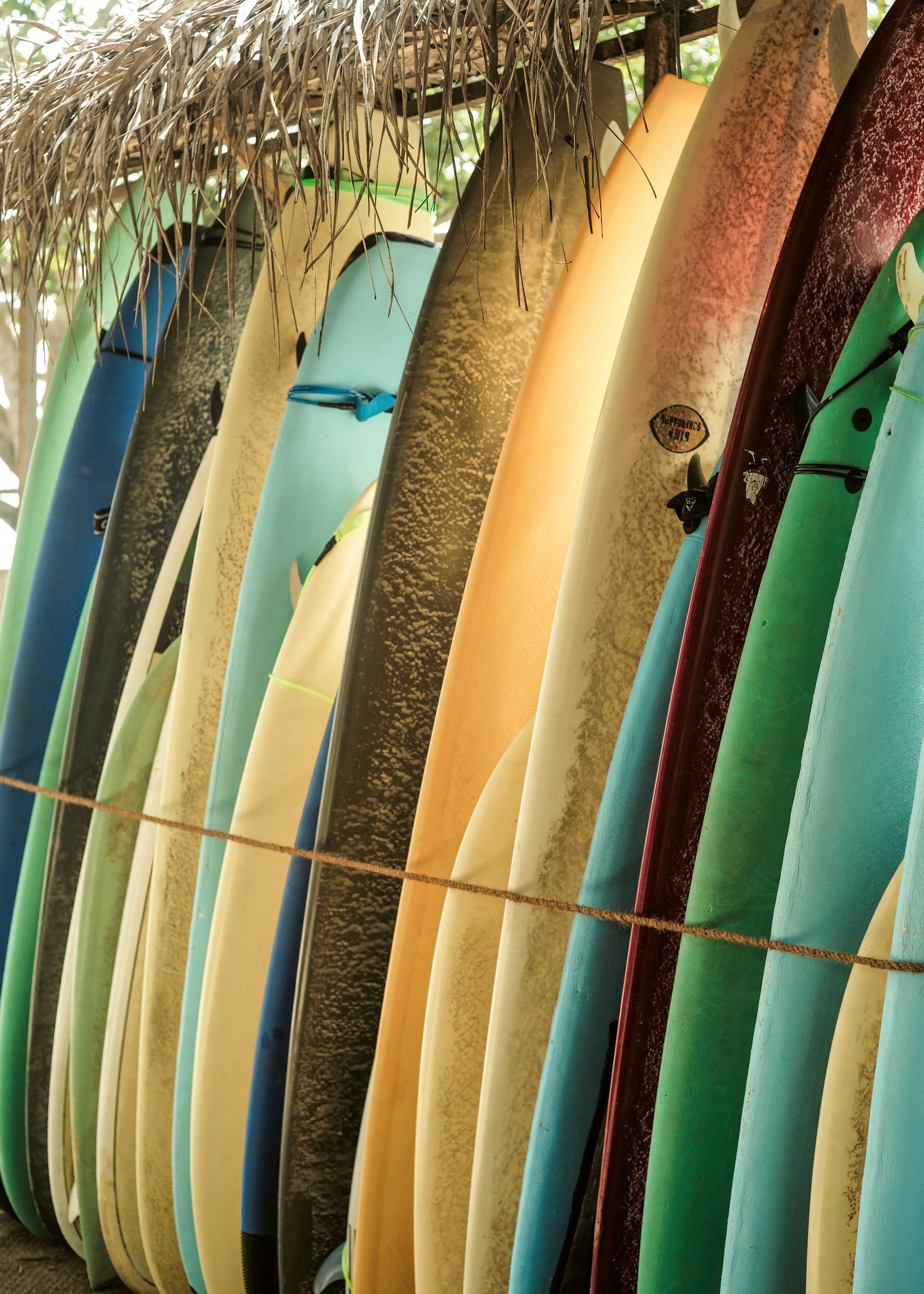 Surf Vibes Poster 0