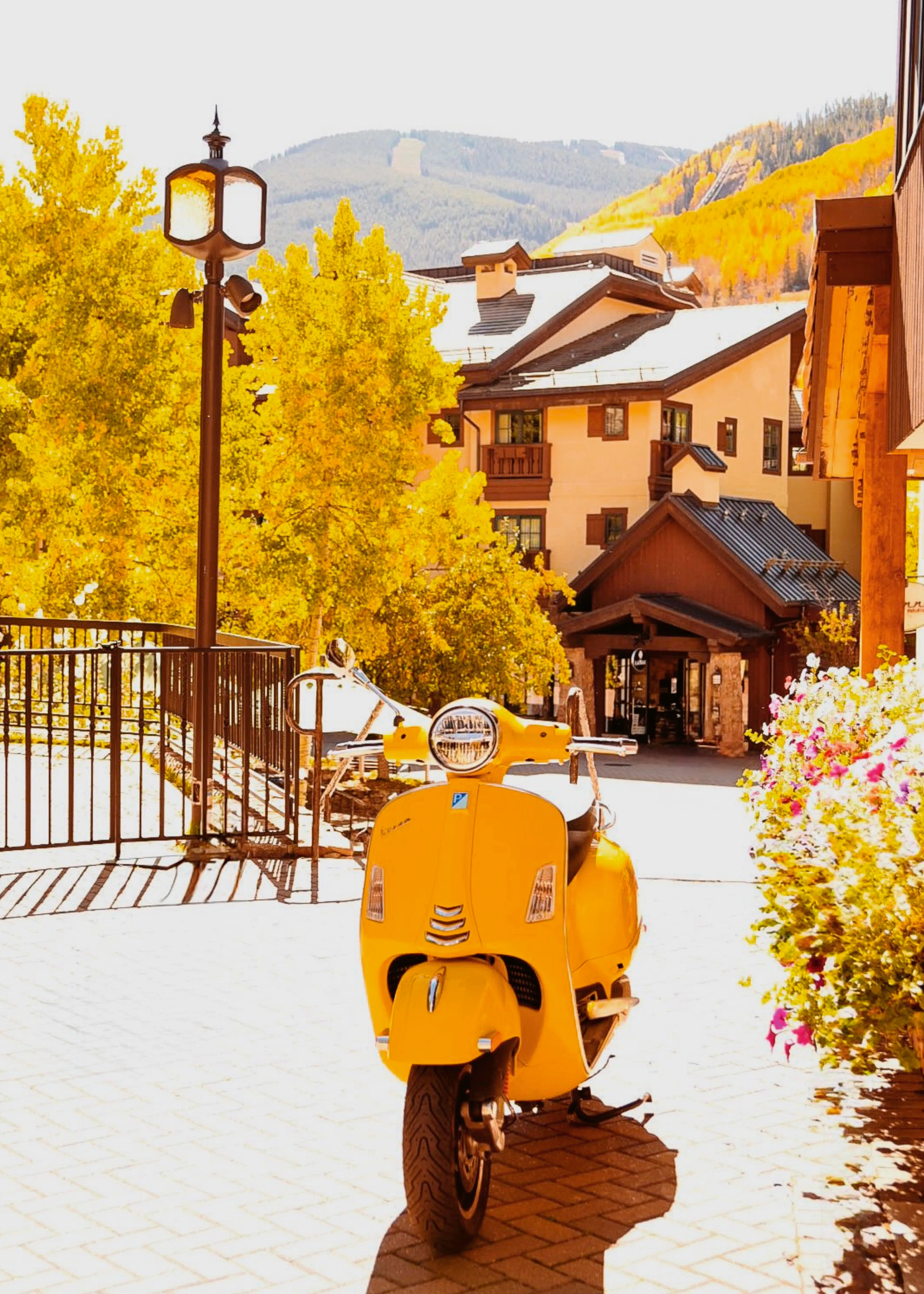 Herfst Scooter Poster 0