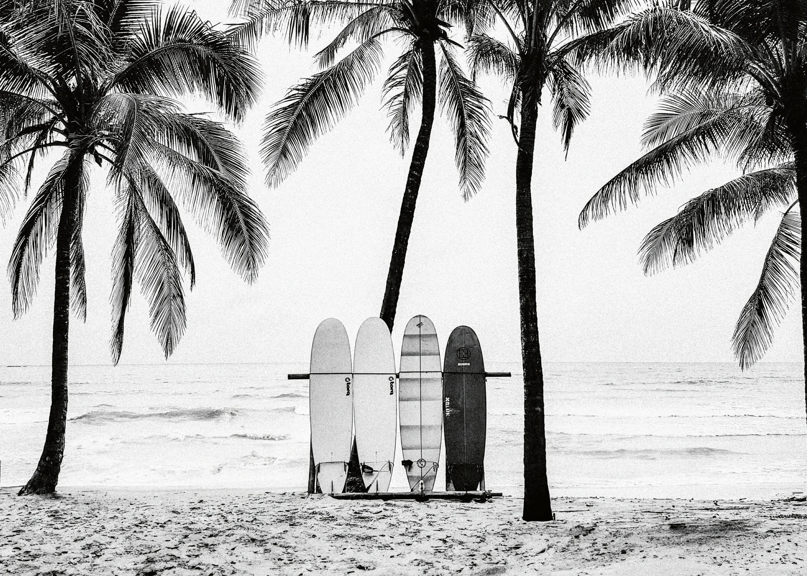 Tropical Surf Poster 0