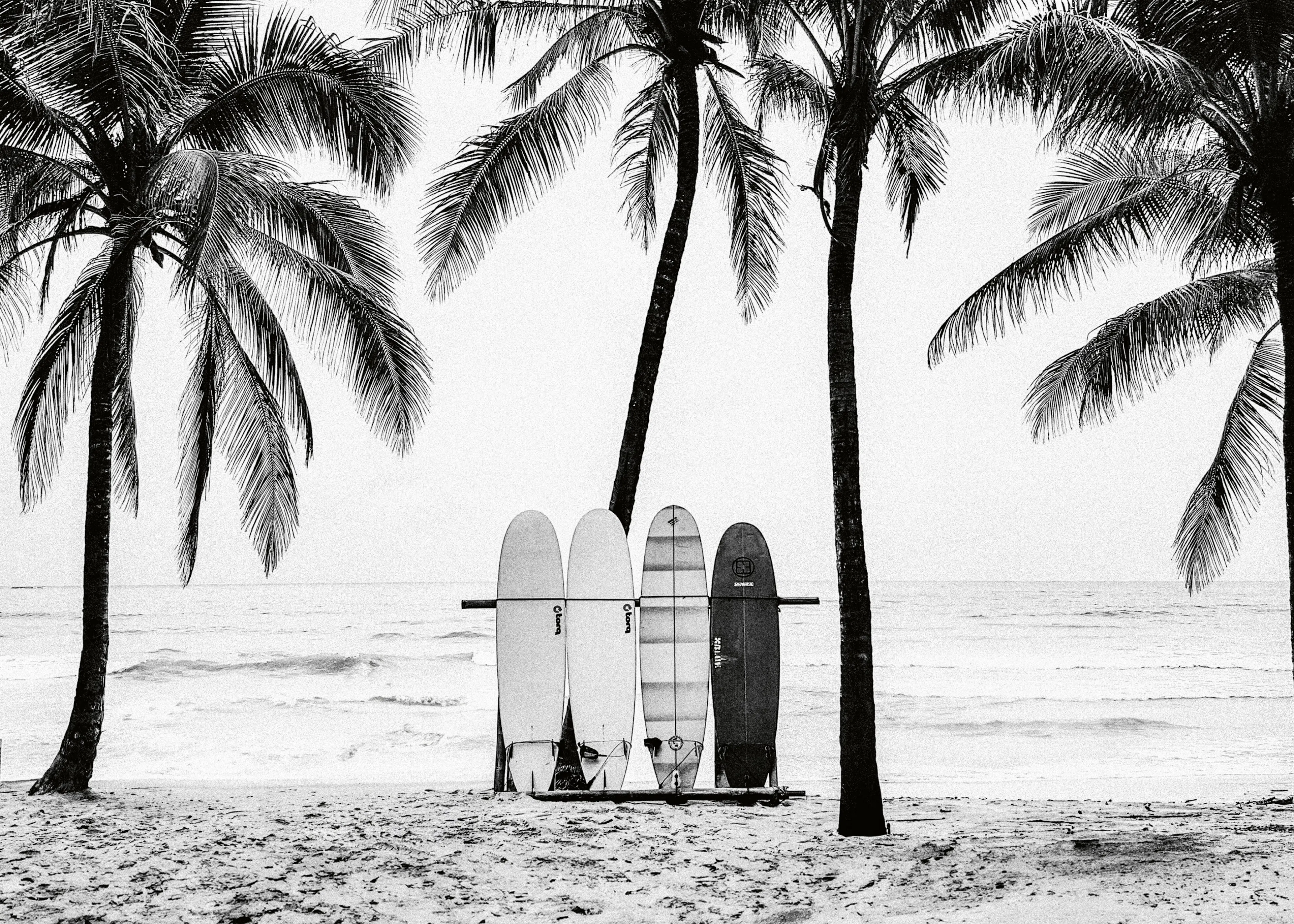 Surf Tropical Poster 0