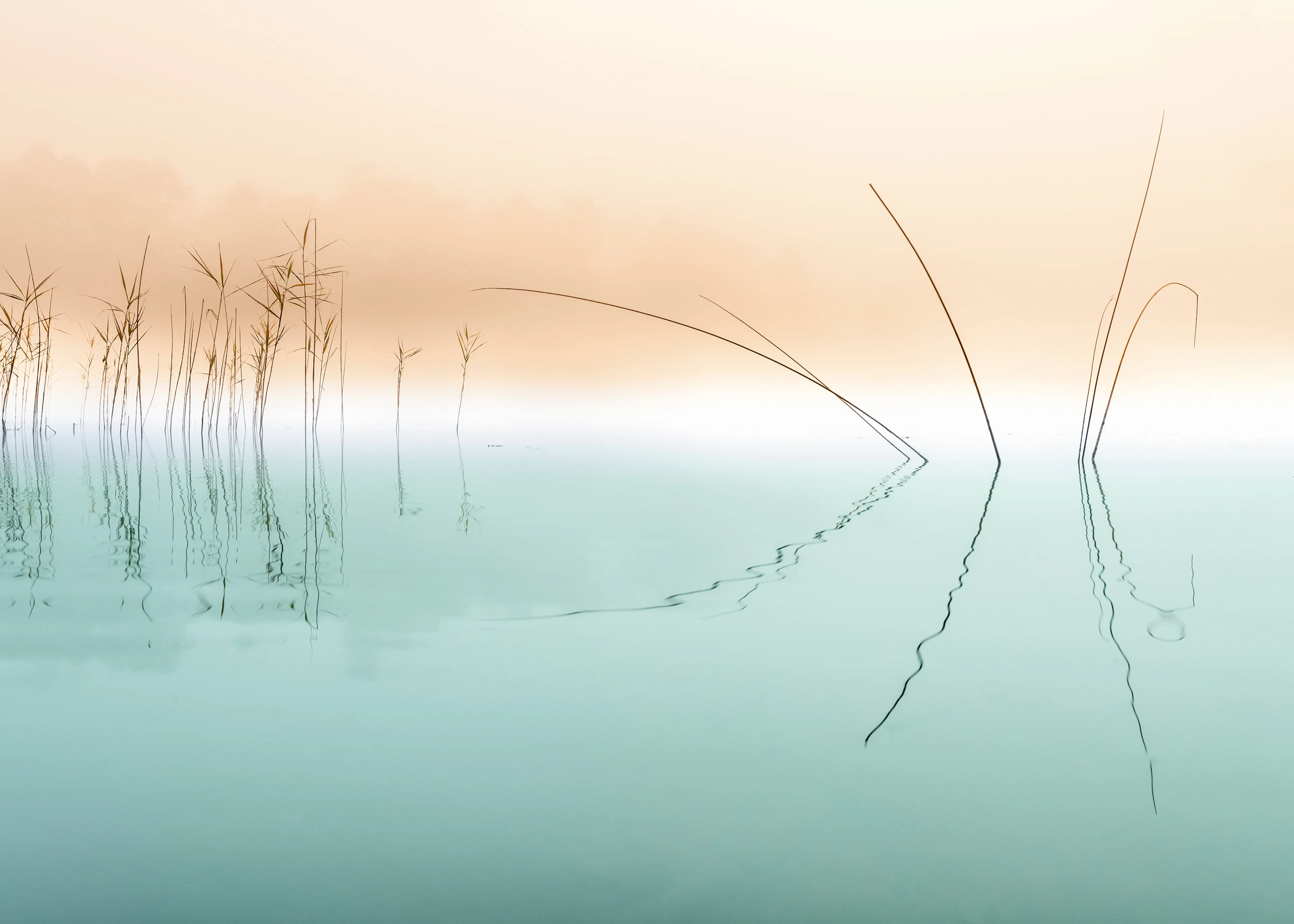 Reflet Tranquille Poster 0