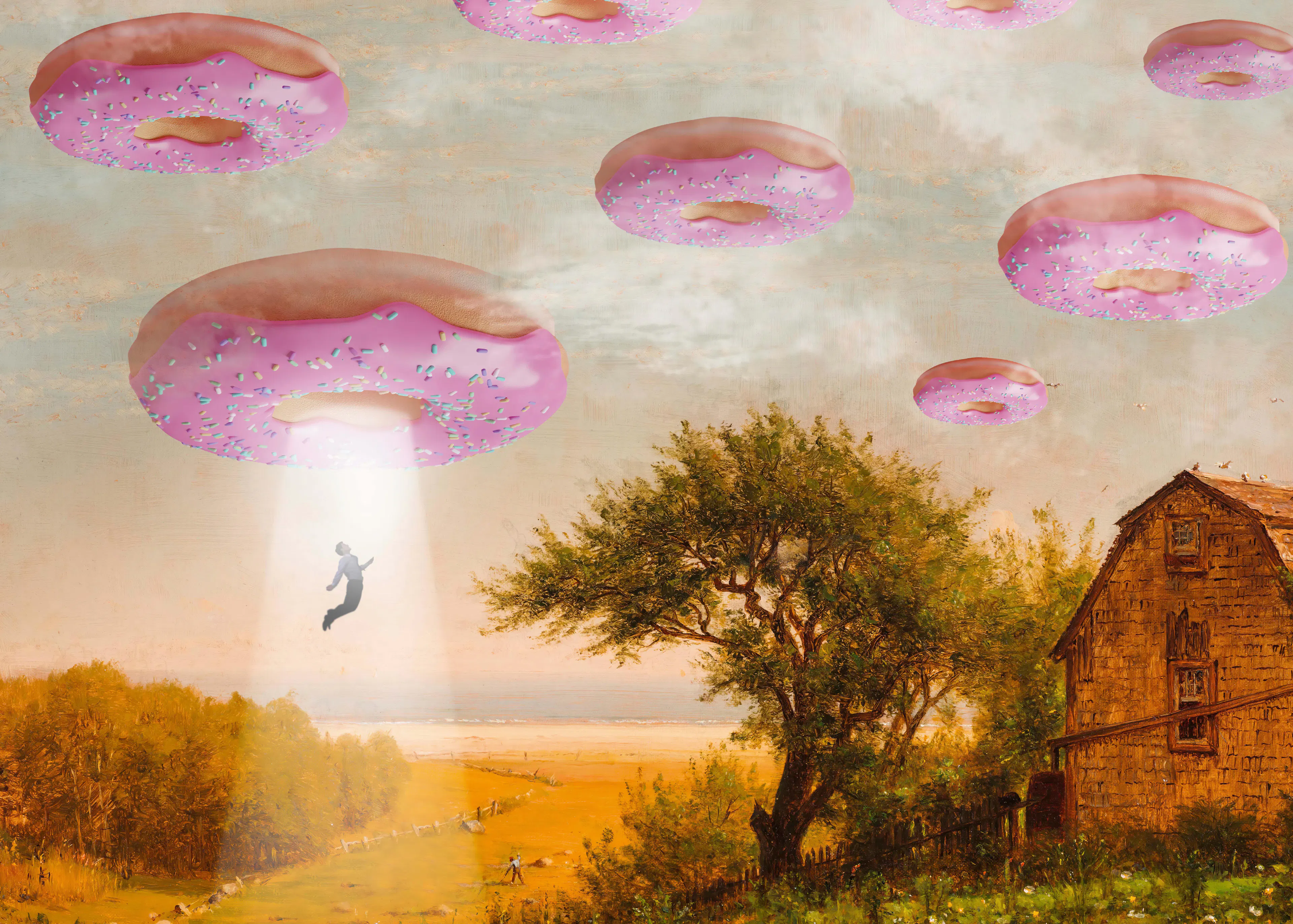 Donut Invasion Poster 0