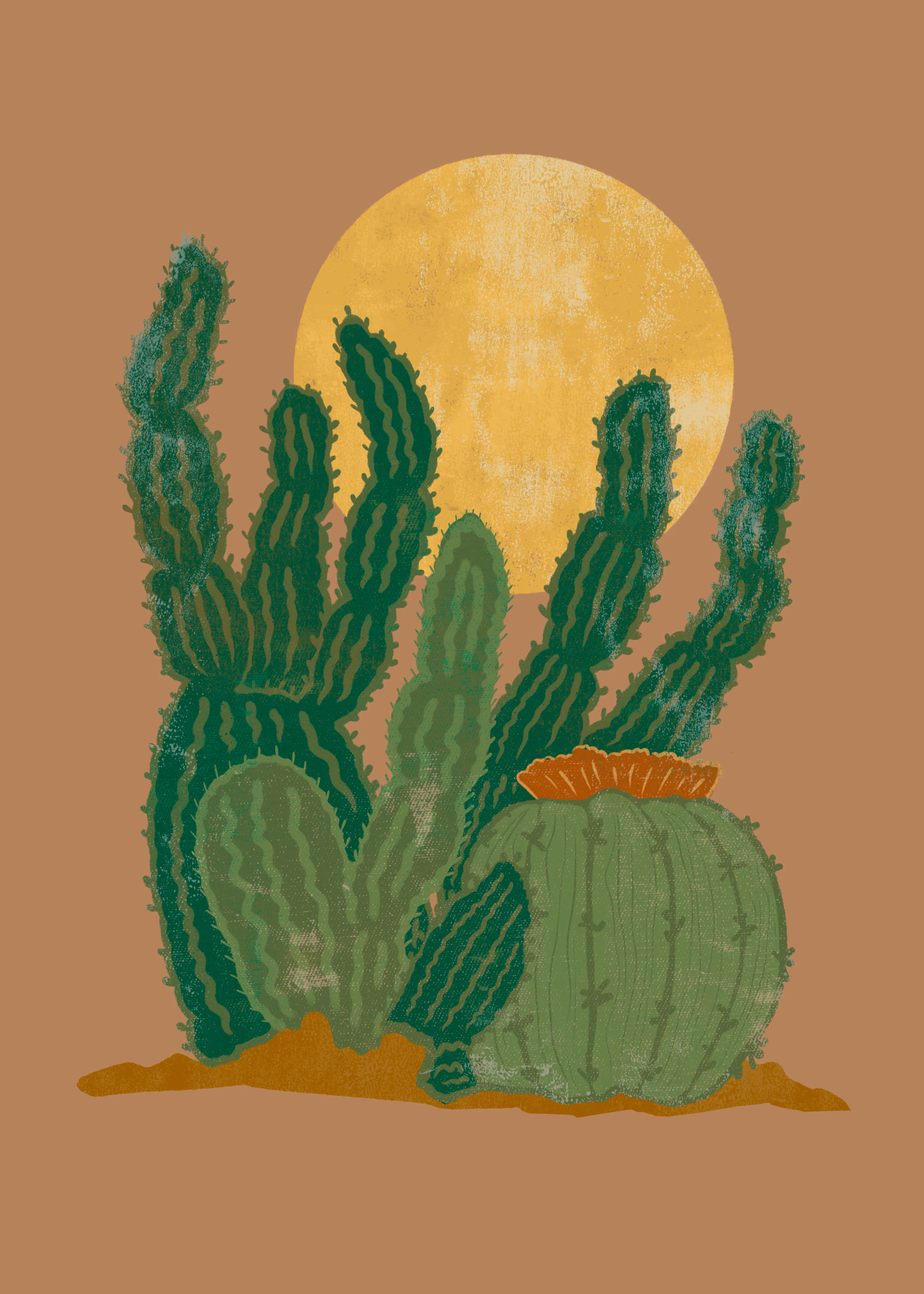 Desert Glow Poster 0